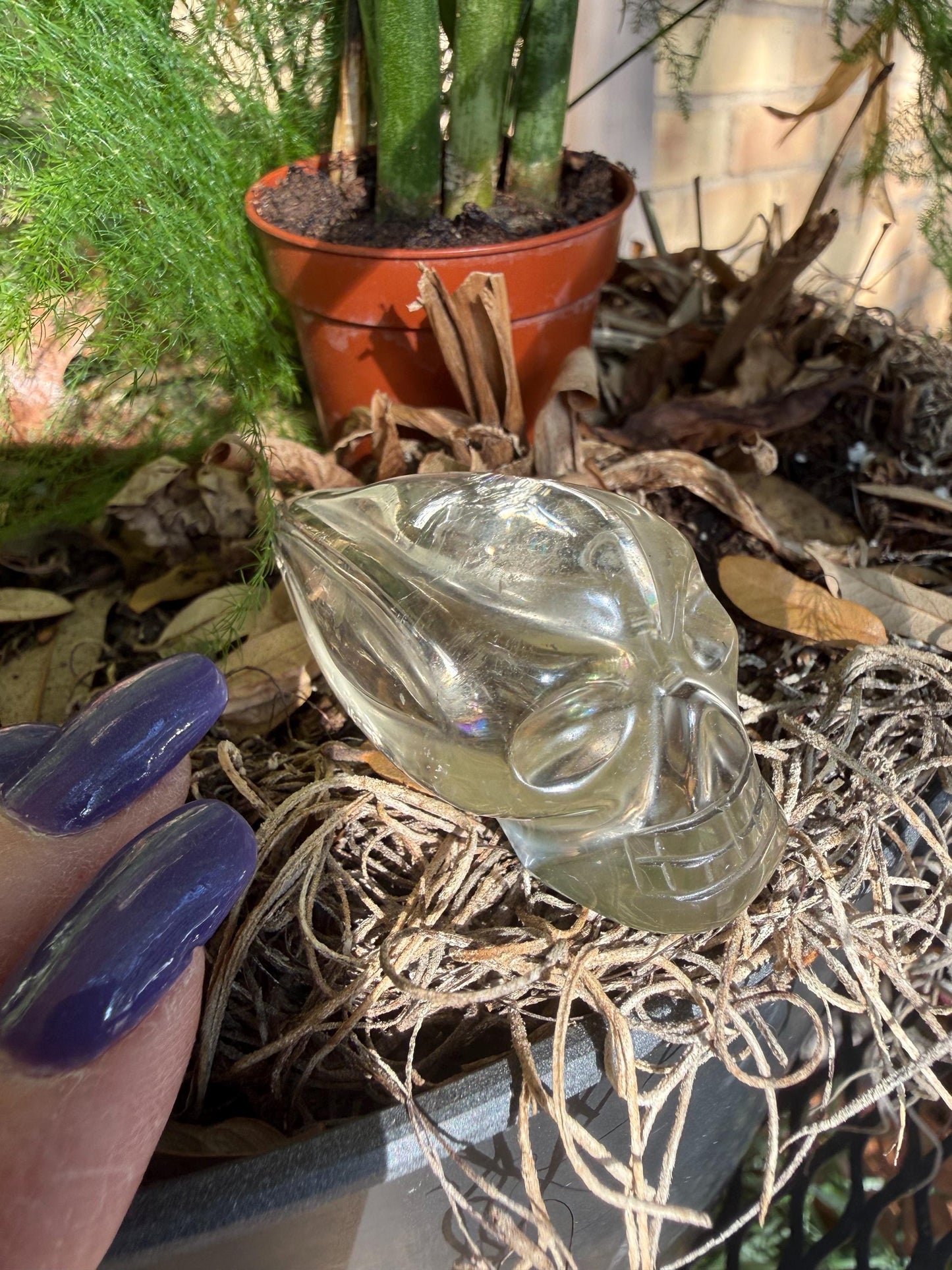 Citrine Travelers Skull, 2.3”, gifts, high vibration crystals, crystal healing, abundance skulls
