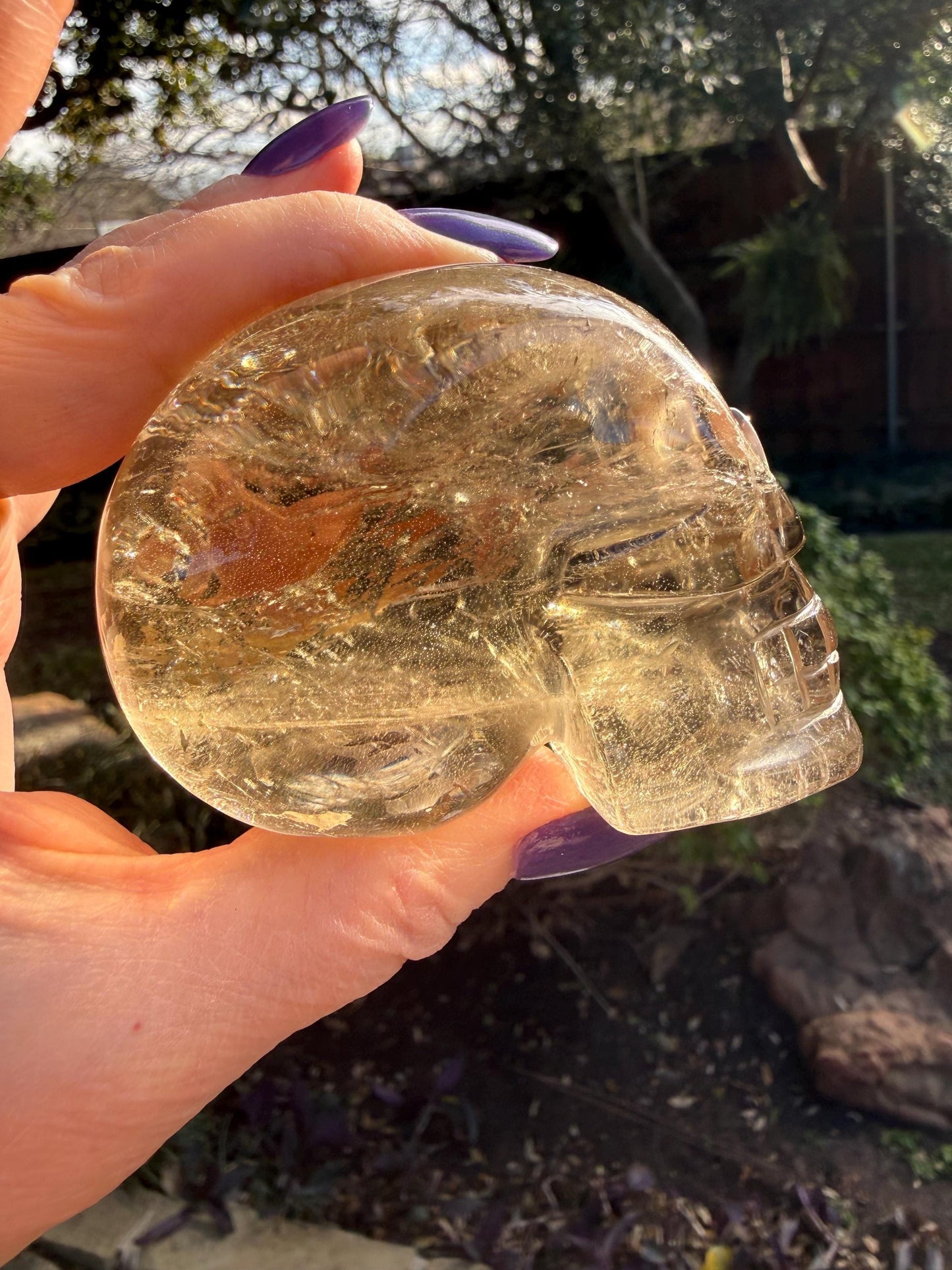 Citrine Skull, 3”, gift, high vibration crystals, crystal healing, abundance skulls