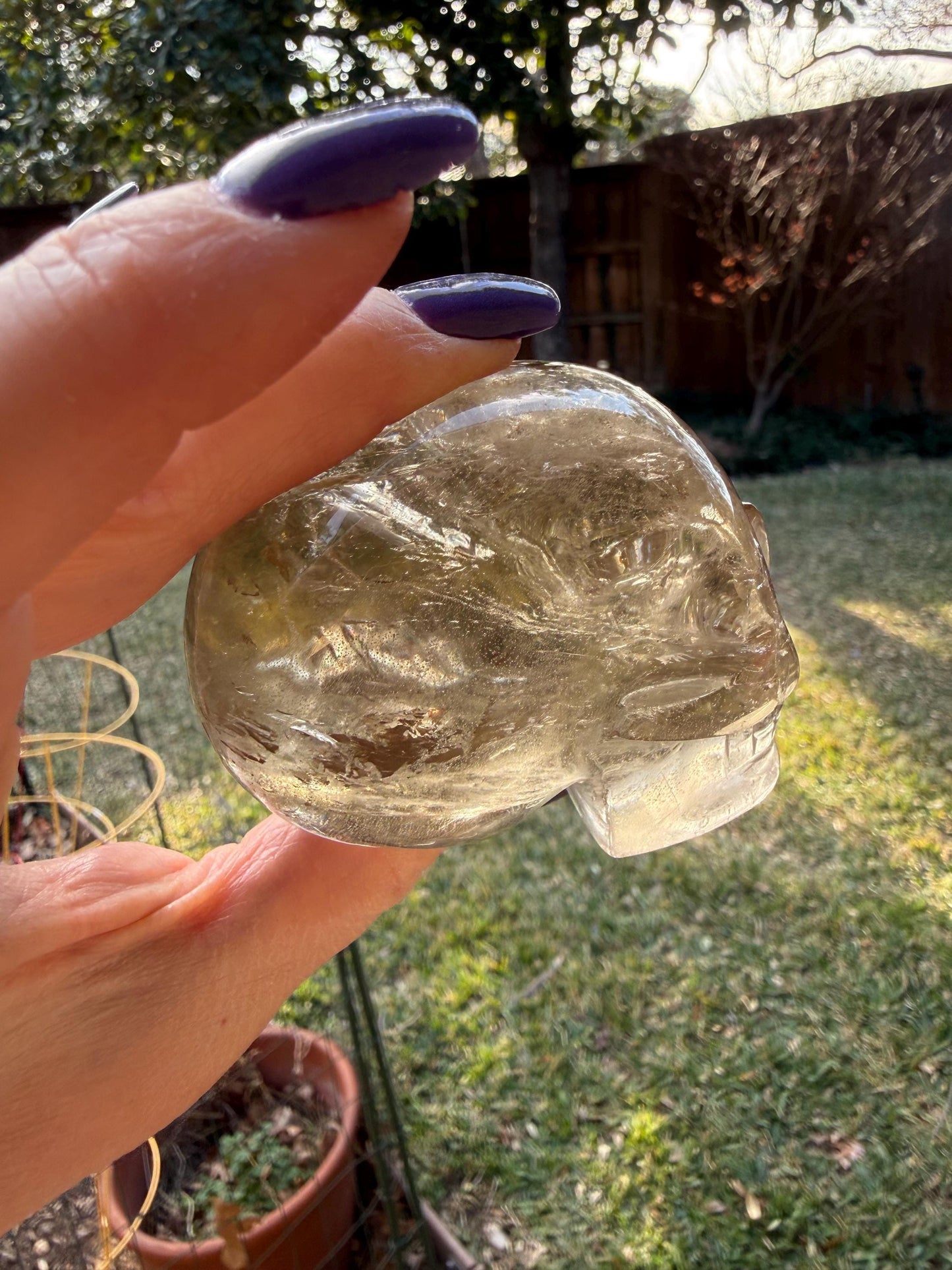 Citrine Skull, 3”, gift, high vibration crystals, crystal healing, abundance skulls