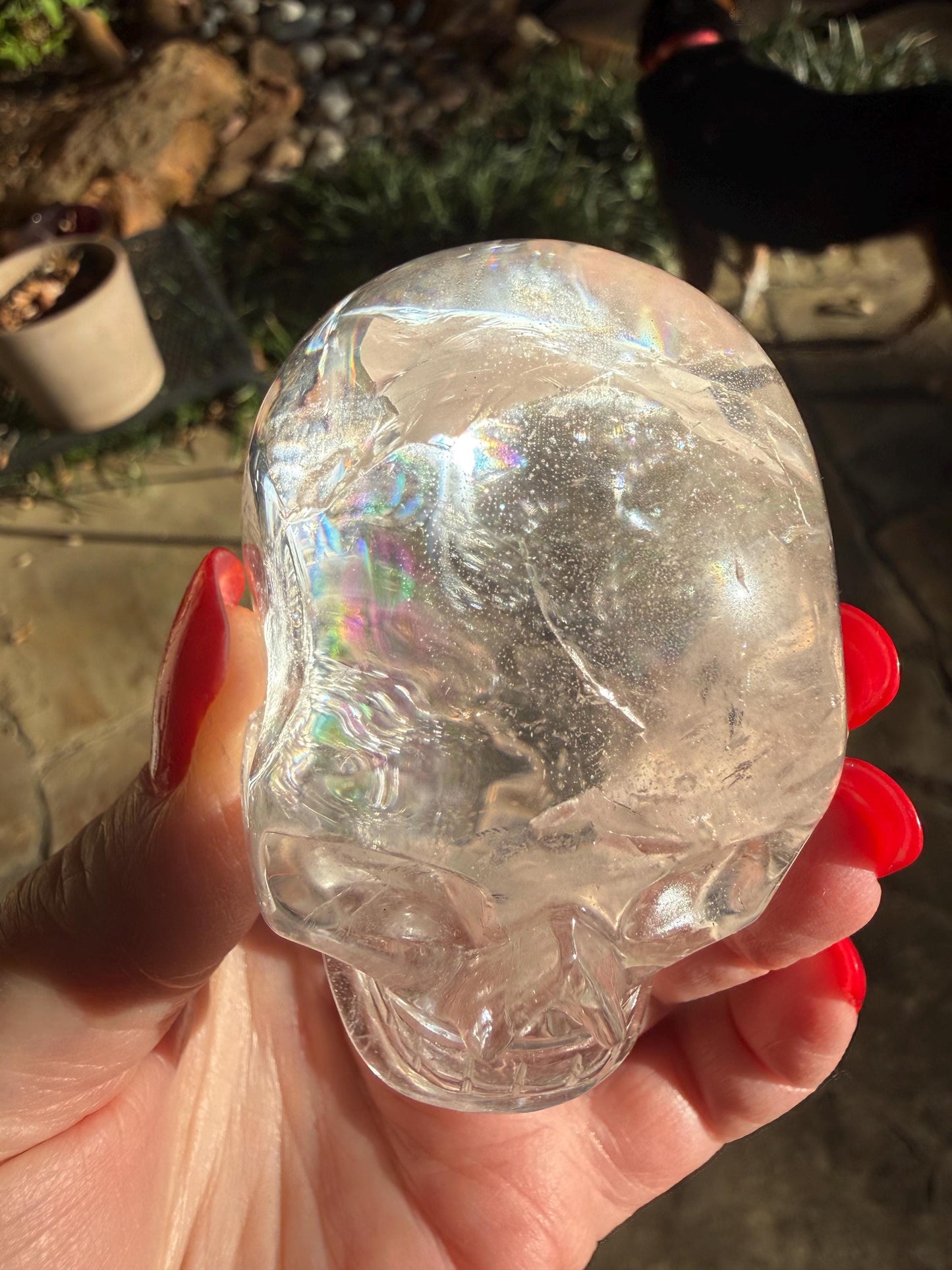 Lemurian Quartz stunning skull carving, high vibration crystals, altar, 2.75”