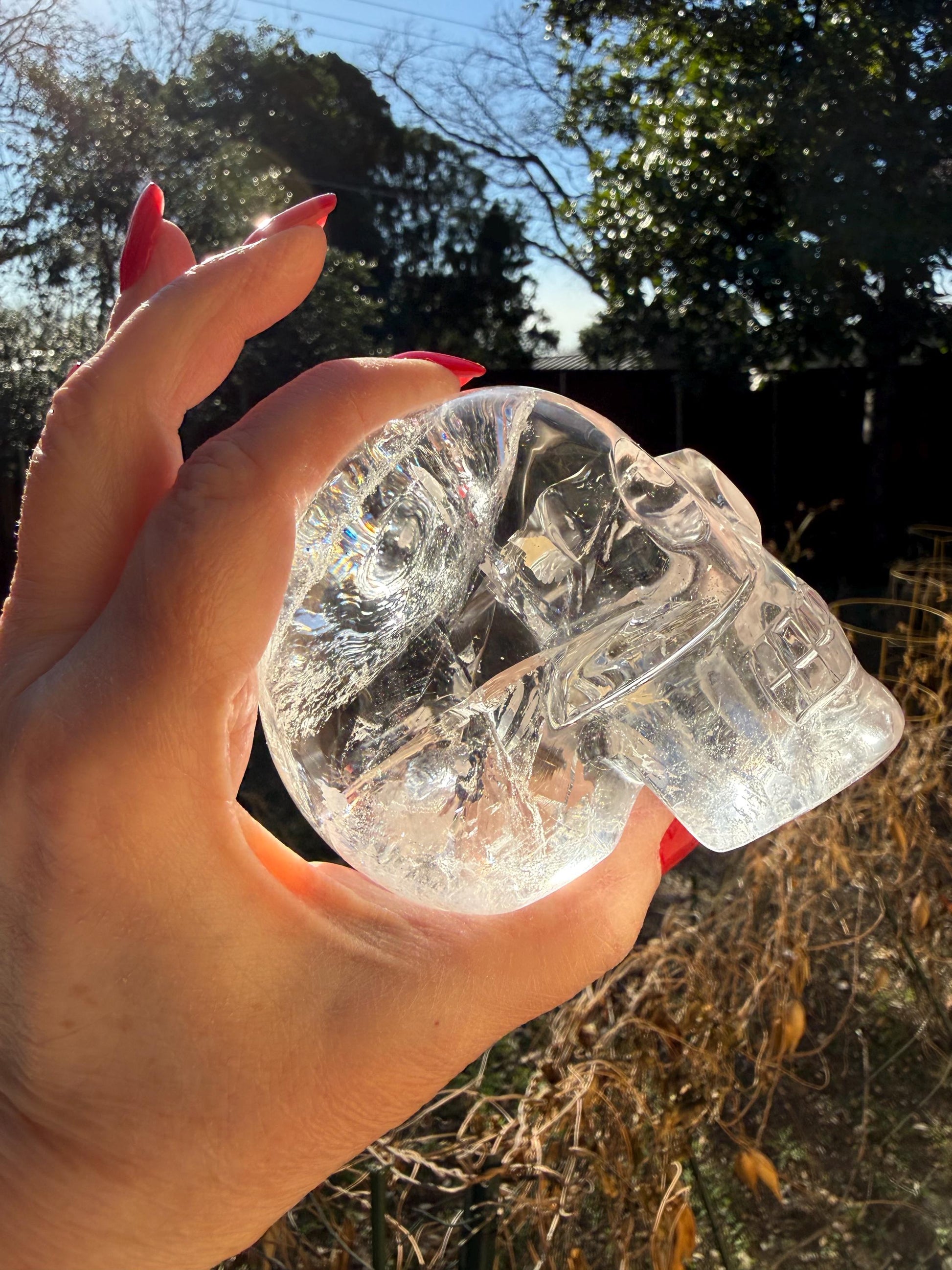 Lemurian Quartz stunning skull carving, high vibration crystals, altar, 3.3”