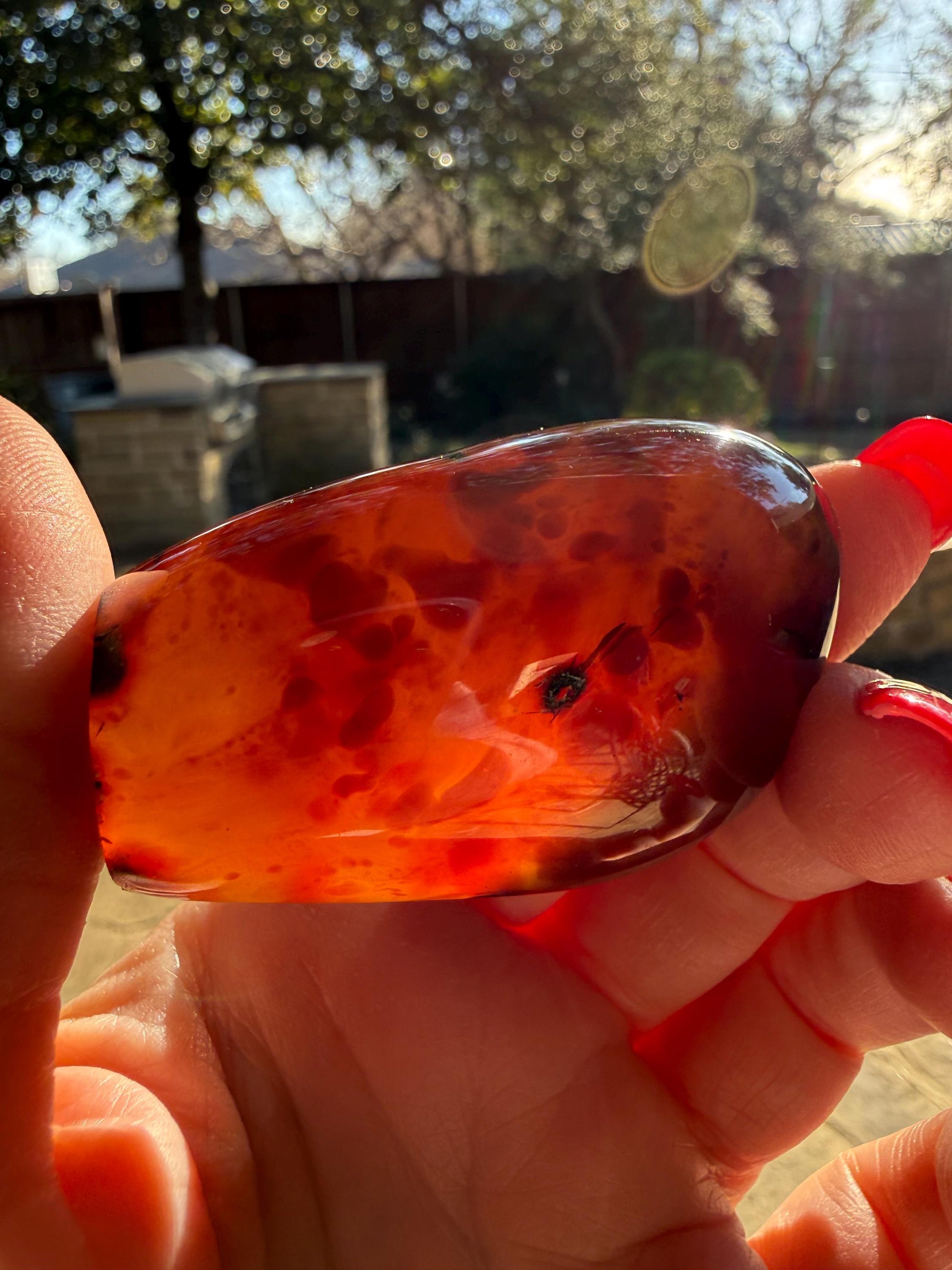Polished authentic amber Freeform, altar, gift, high vibration crystals, crystal healing, 2.25”