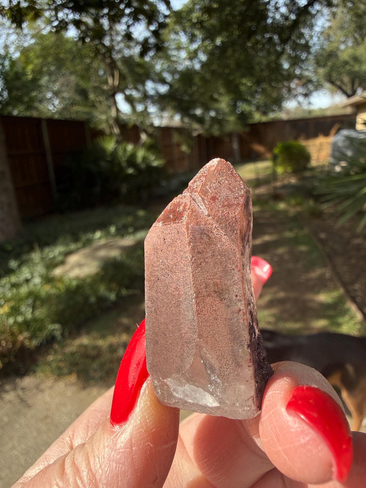 Purple Dragon Lemurian Wand, new, high quality, striations, crystal healing, 2”, hematite, premium