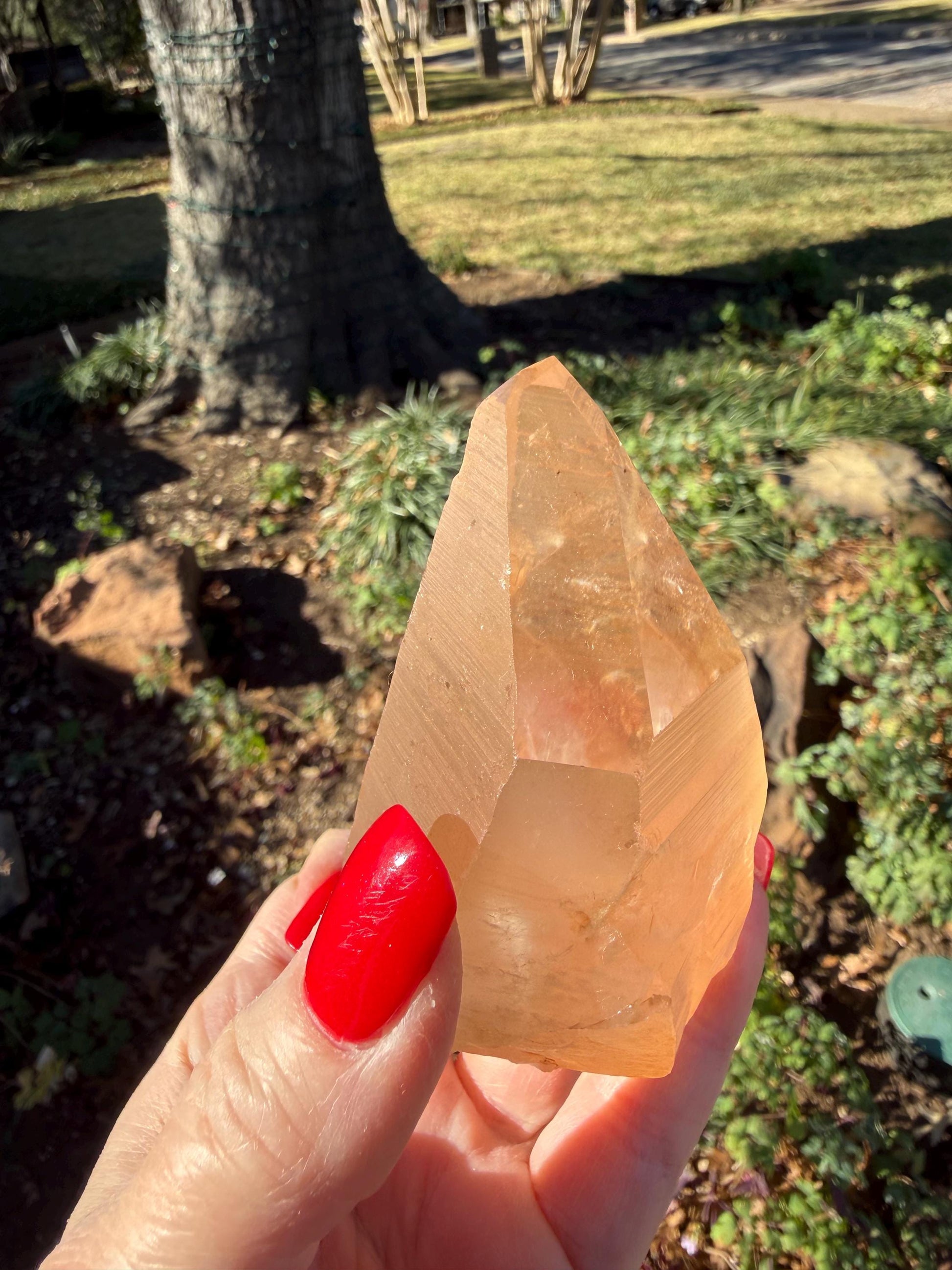 Rare Record Keeper Gold Lemurian, new, high quality, 3.5”, crystal healing, gift