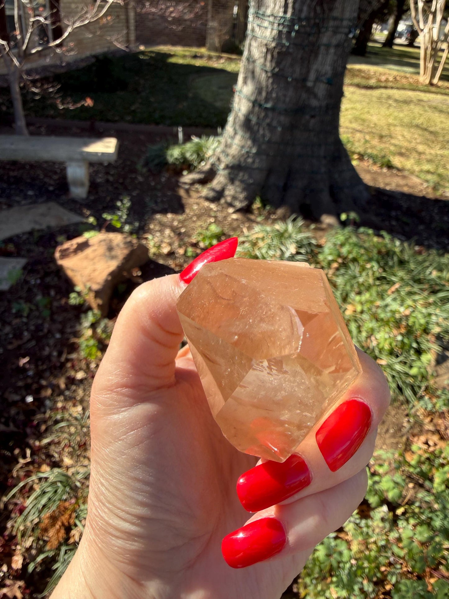Rare Record Keeper Gold Lemurian, new, high quality, 3.5”, crystal healing, gift