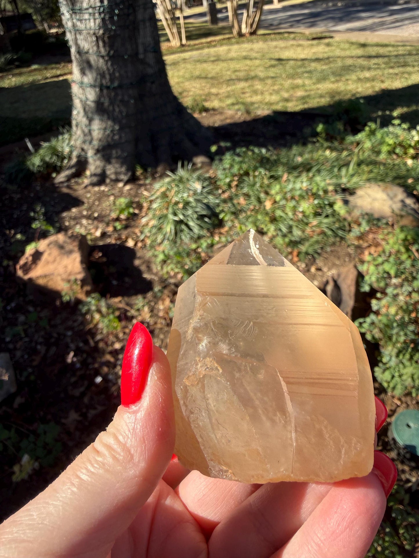 Rare Record Keeper Gold Lemurian, new, high quality, 3.5”, crystal healing, gift