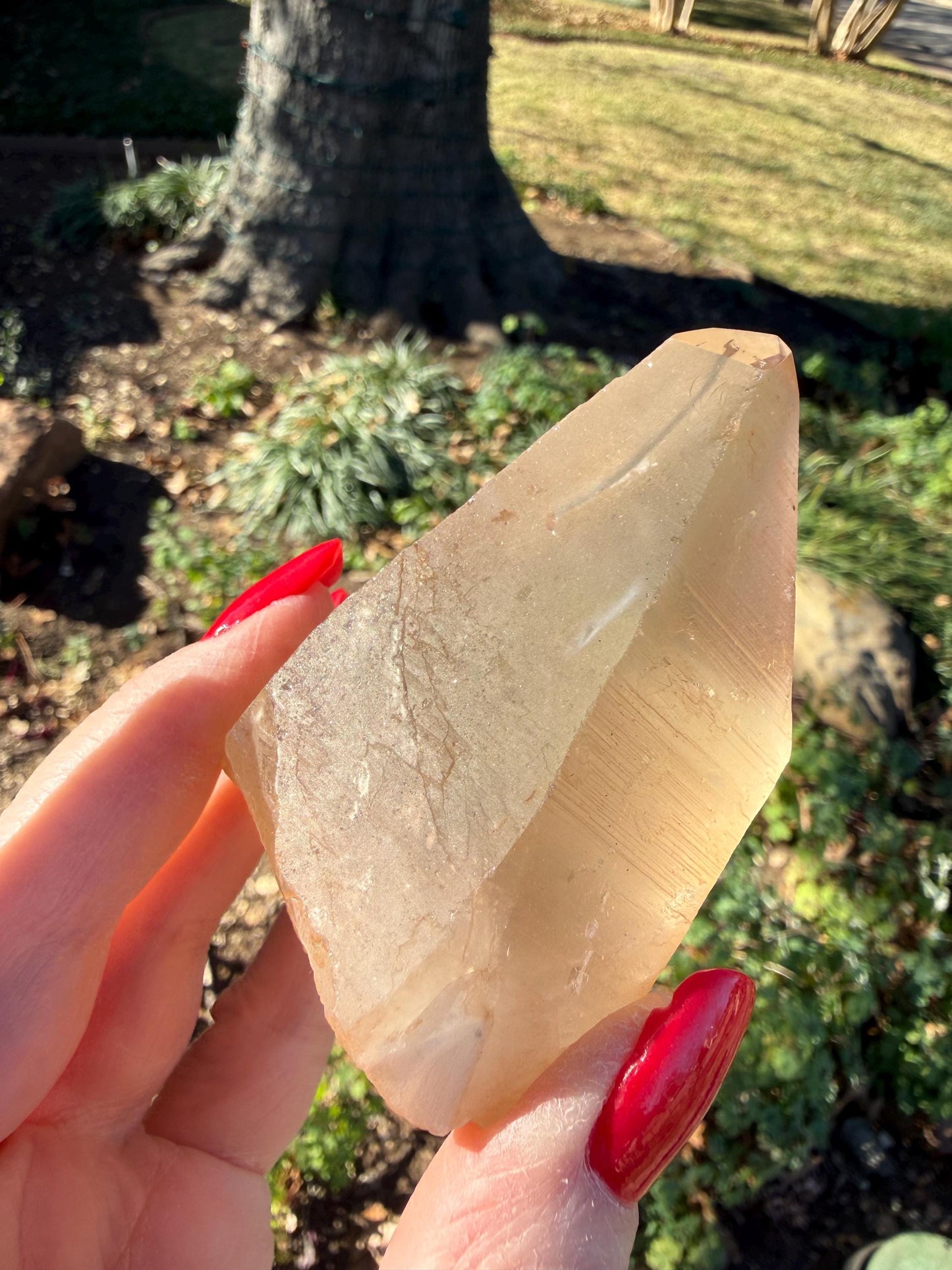 Rare Record Keeper Gold Lemurian, new, high quality, 3.5”, crystal healing, gift