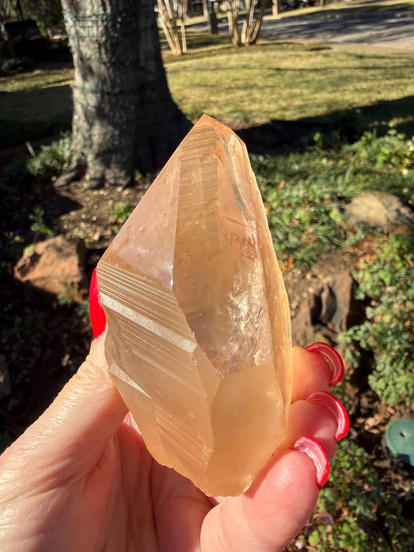 Rare Record Keeper Gold Lemurian, new, high quality, 3.5”, crystal healing, gift