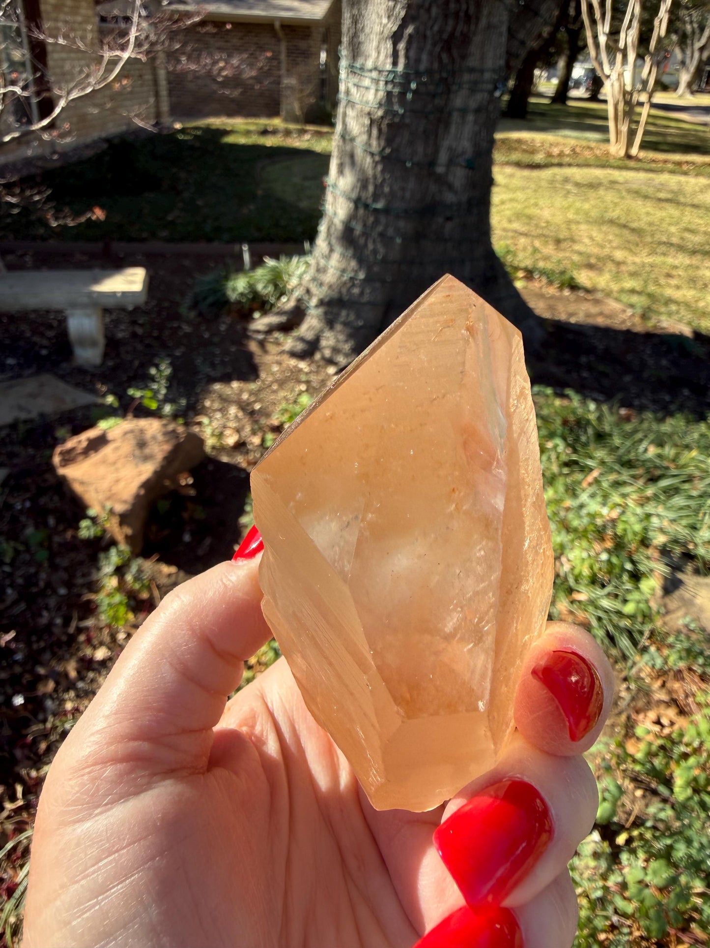 Rare Record Keeper Gold Lemurian, new, high quality, 3.5”, crystal healing, gift