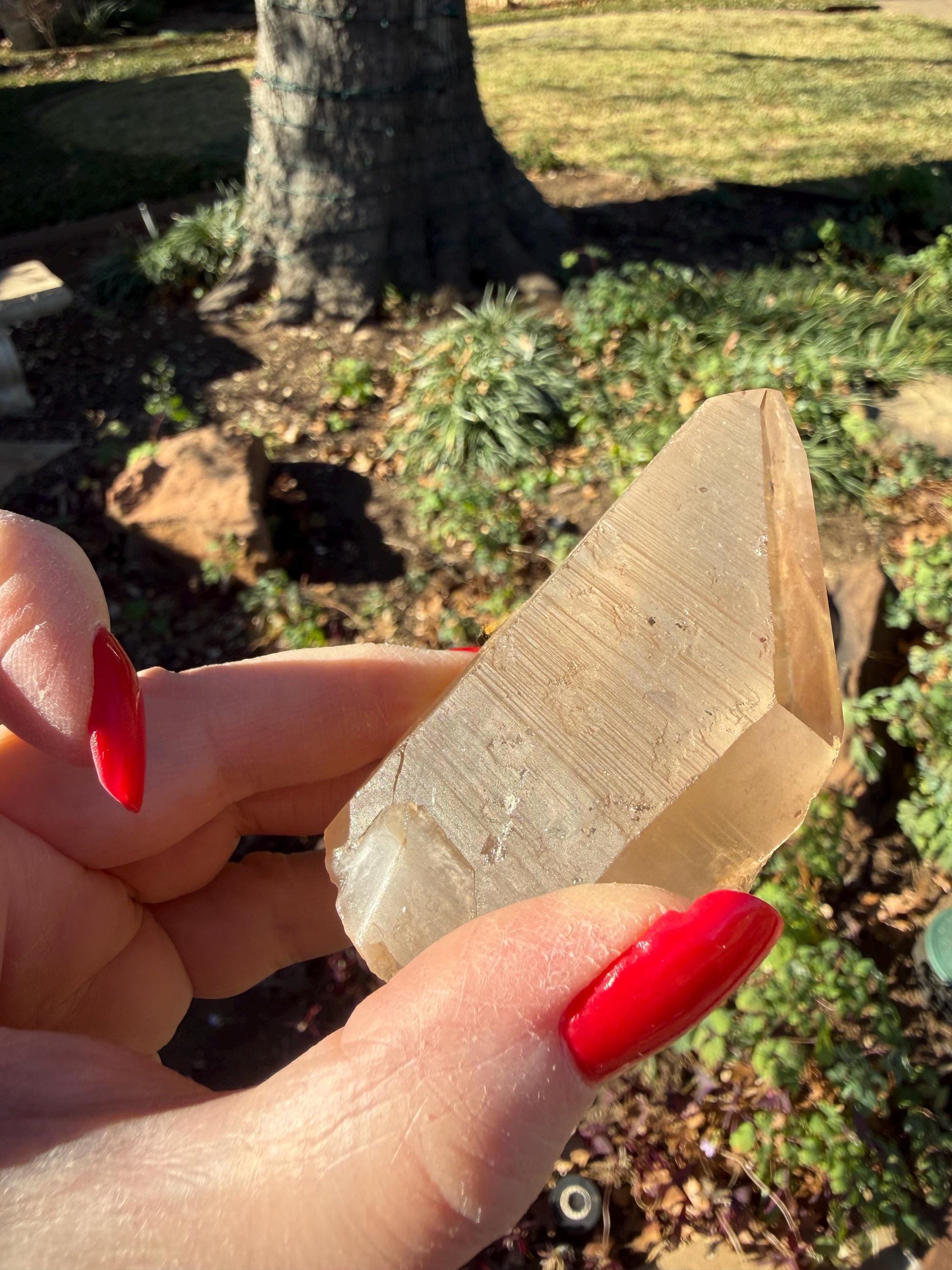 Rare Record Keeper Gold Lemurian, new, high quality, 3.5”, crystal healing, gift