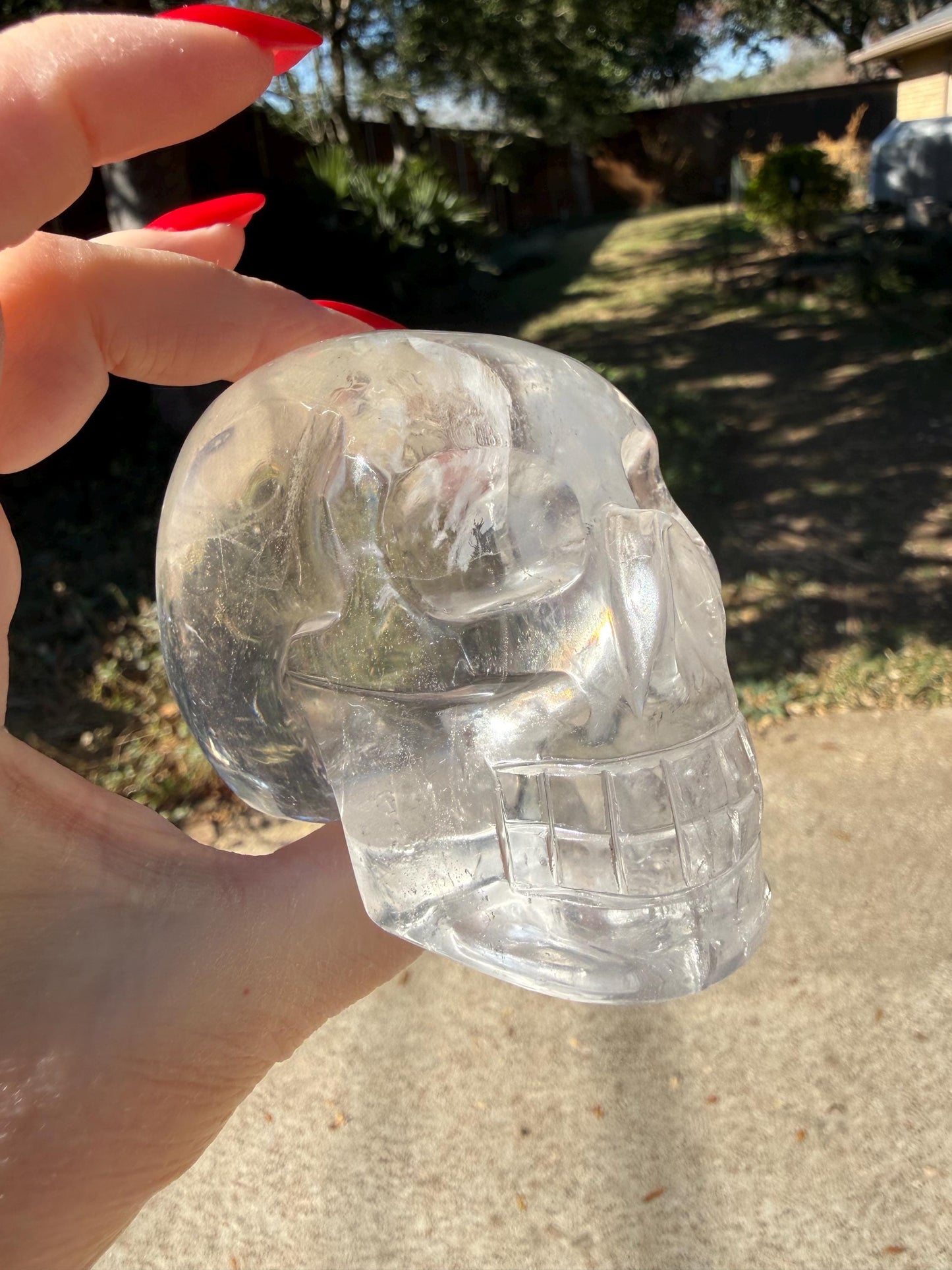 Lemurian Quartz stunning skull carving, high vibration crystals, altar, 3.5”