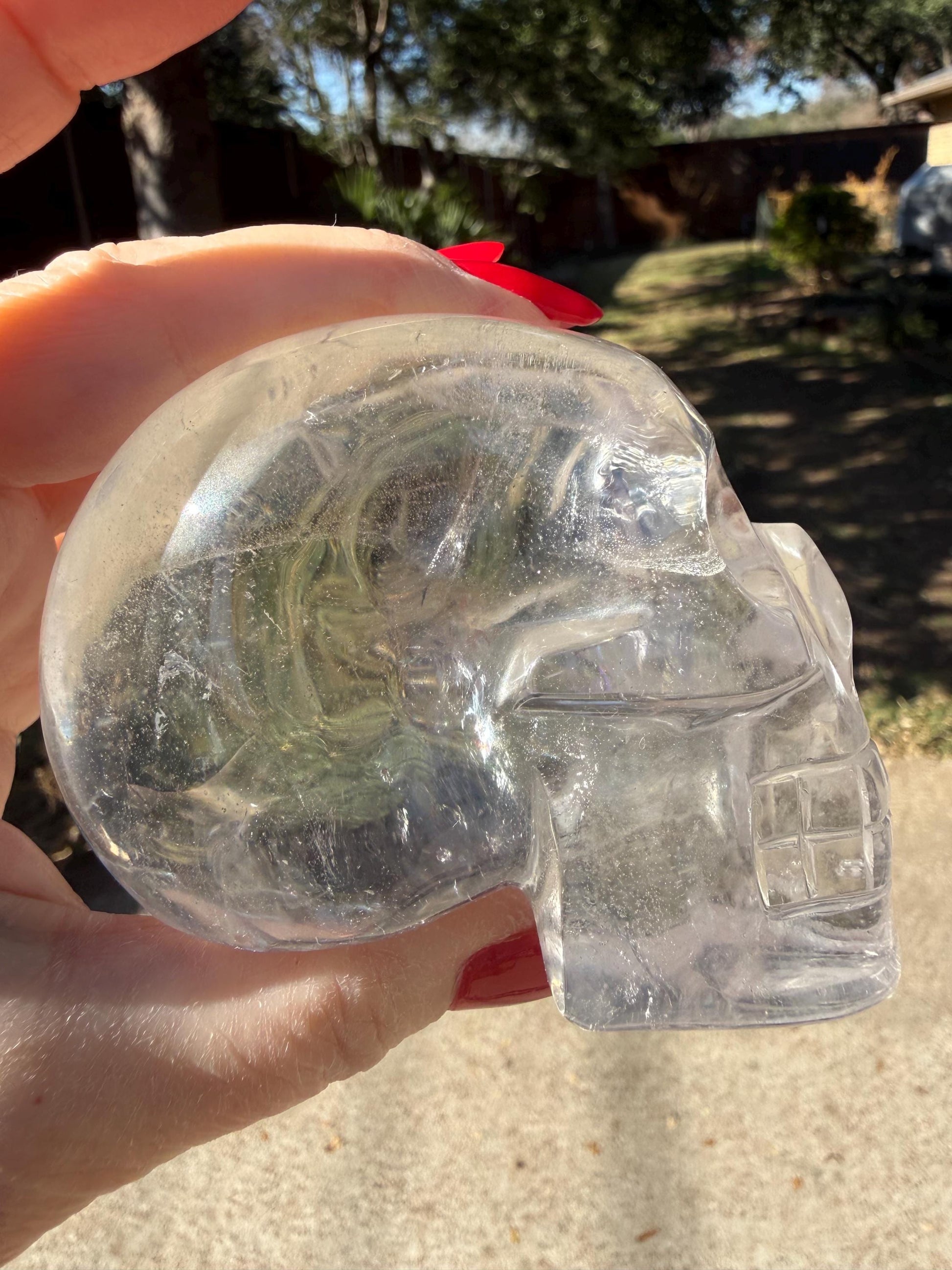 Lemurian Quartz stunning skull carving, high vibration crystals, altar, 3.5”