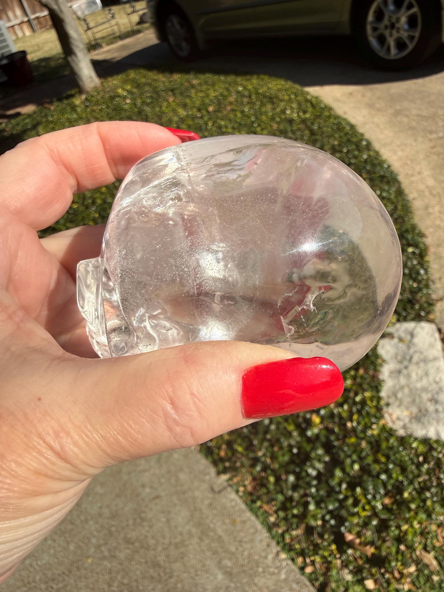 Lemurian Quartz stunning skull carving, high vibration crystals, altar, 3.5”