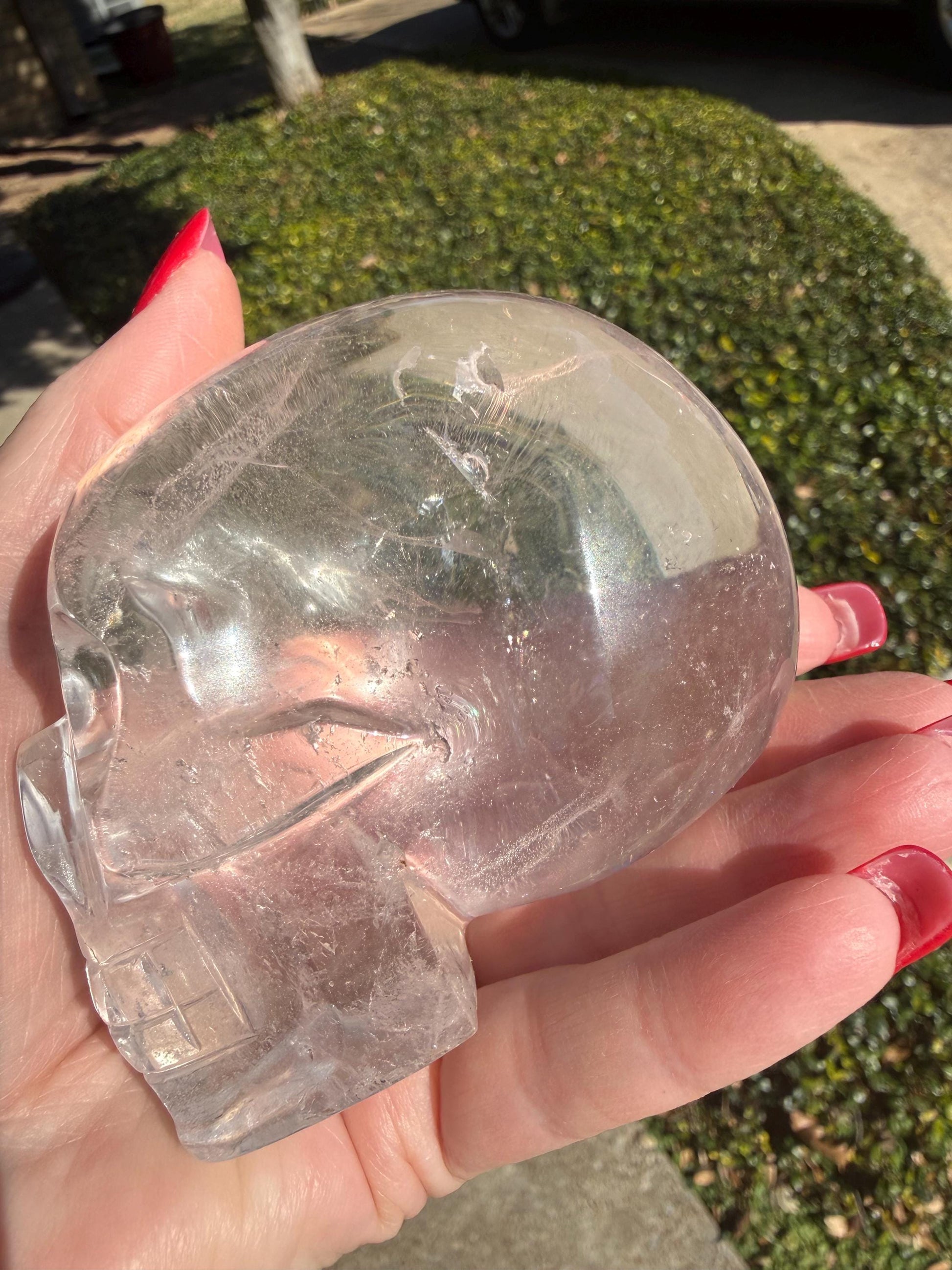 Lemurian Quartz stunning skull carving, high vibration crystals, altar, 3.5”