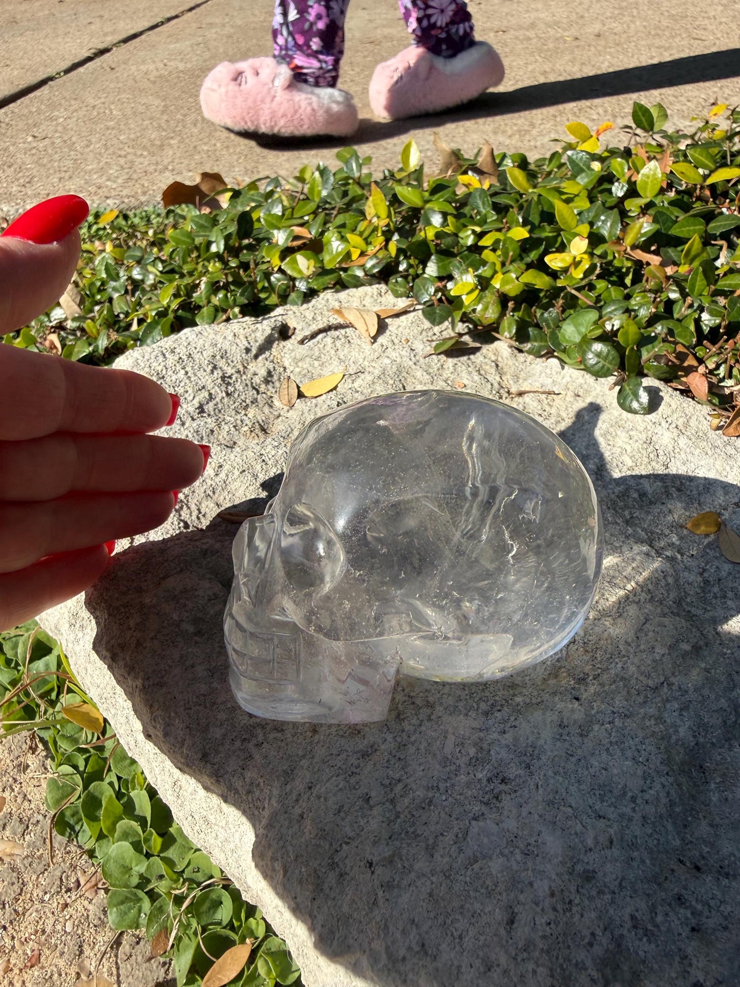 Lemurian Quartz stunning skull carving, high vibration crystals, altar, 3.5”