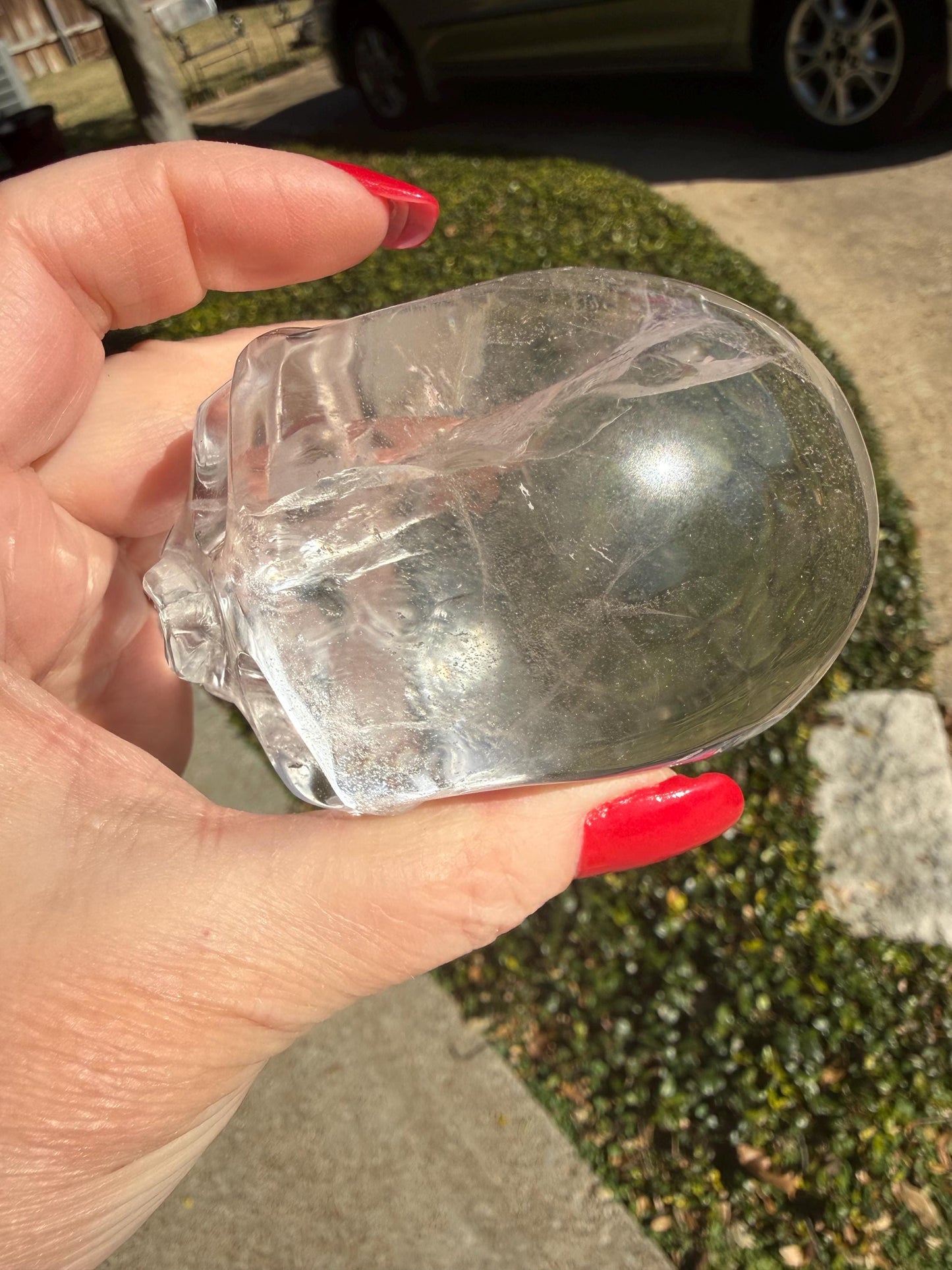 Lemurian Quartz stunning skull carving, high vibration crystals, altar, 3.5”