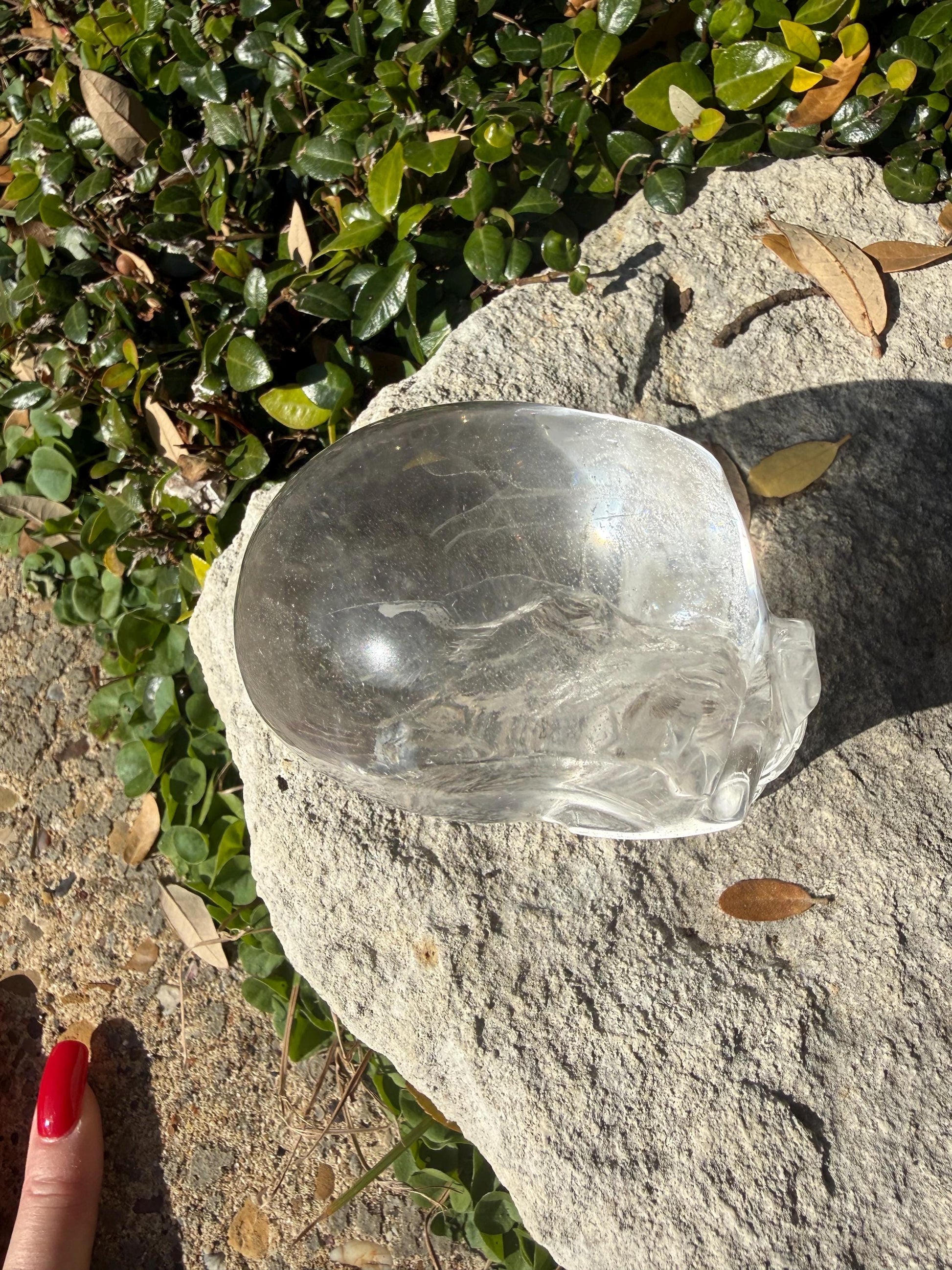 Lemurian Quartz stunning skull carving, high vibration crystals, altar, 3.5”