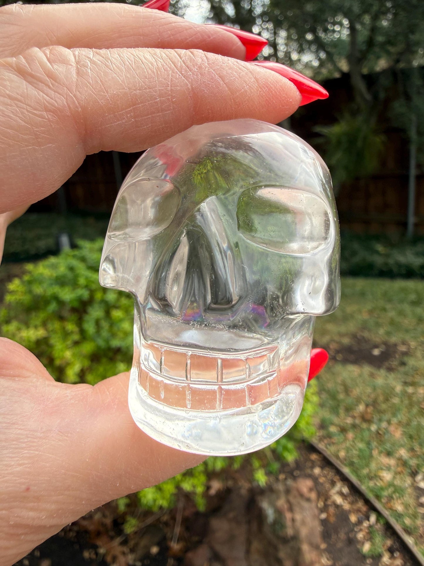 Lemurian Quartz stunning skull carving, high vibration crystals, altar, 2”, Raguel