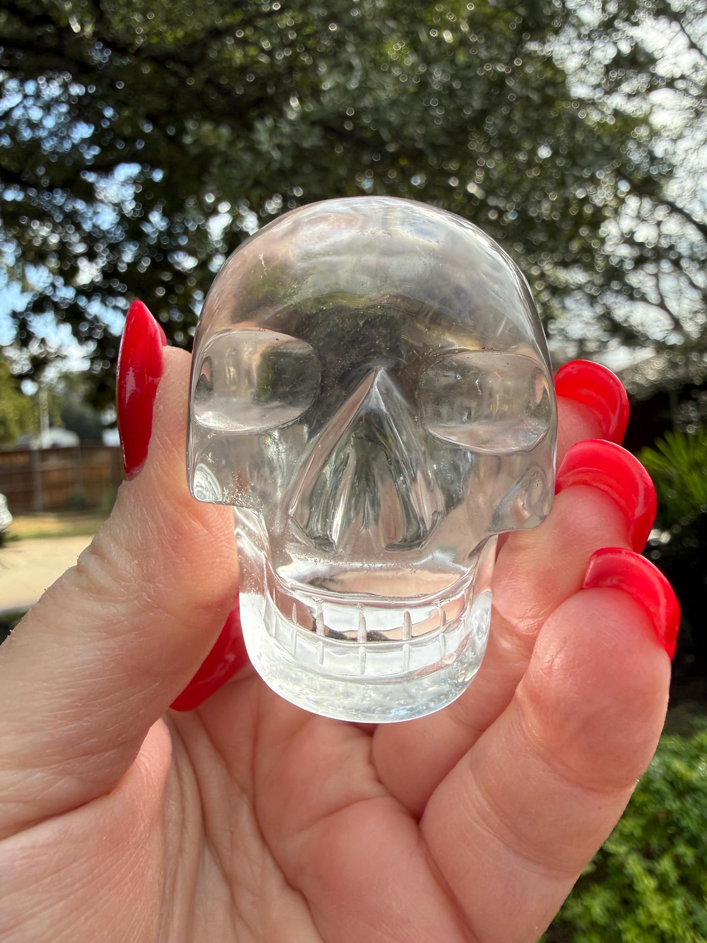 Lemurian Quartz stunning skull carving, high vibration crystals, altar, 2”, Raguel