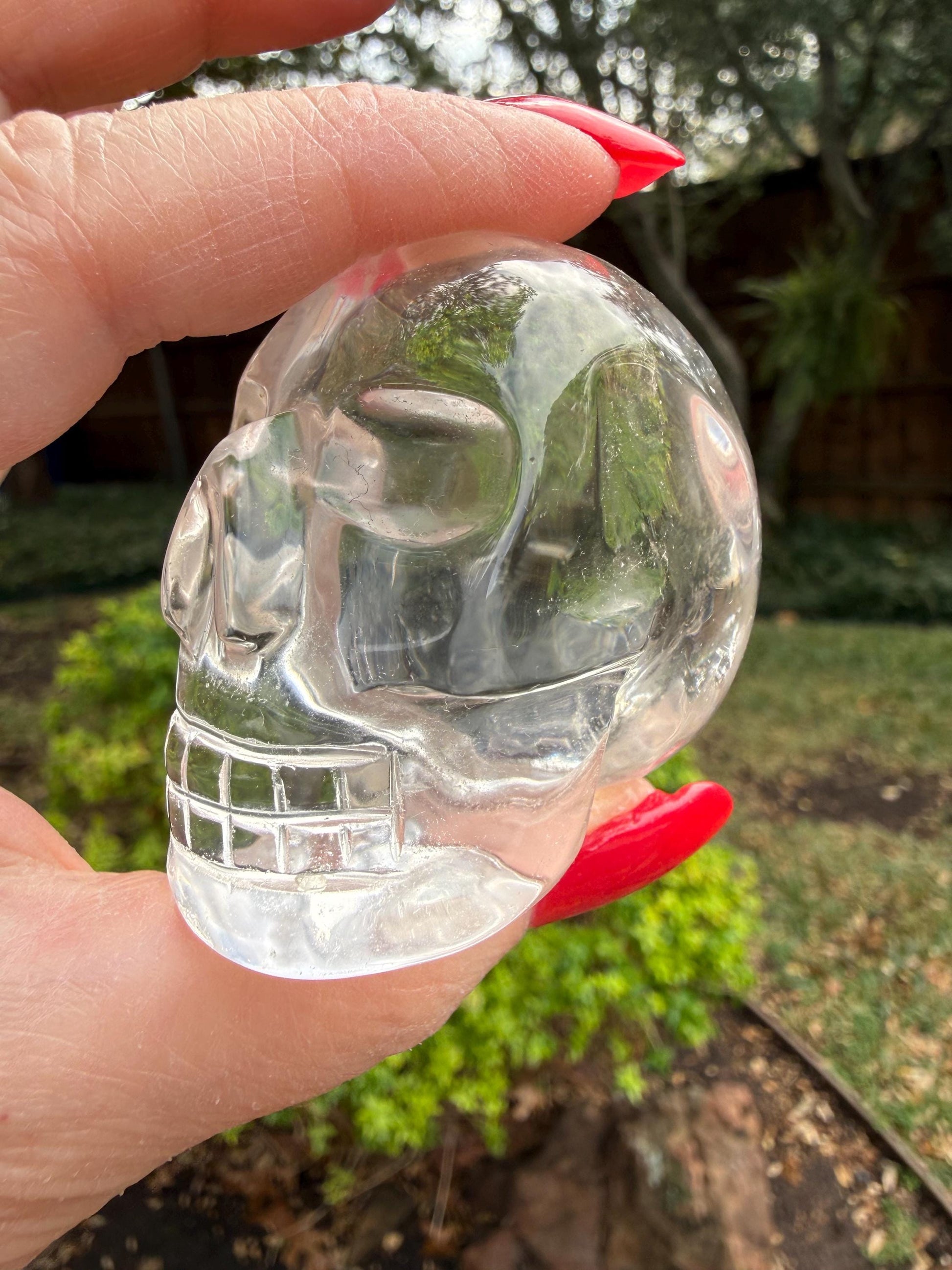 Lemurian Quartz stunning skull carving, high vibration crystals, altar, 2”, Raguel