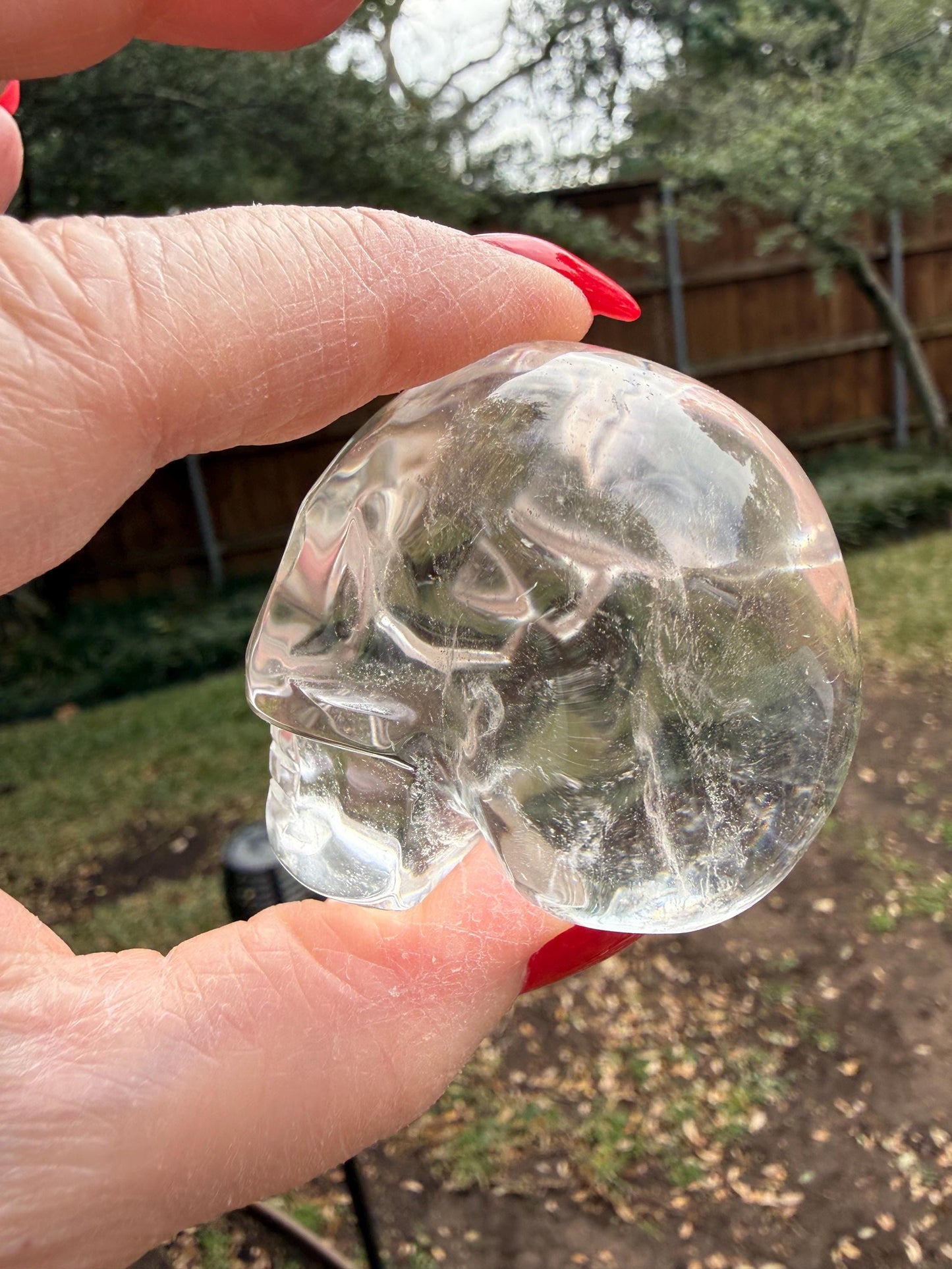 Lemurian Quartz stunning skull carving, high vibration crystals, altar, 2”, Raguel