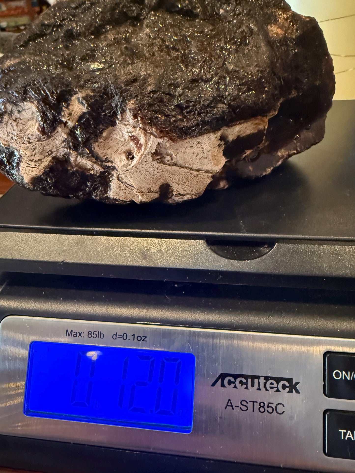 Large raw amber, Glorious Beautiful Amazing Color, altar, gift, new, 5.5”, healing crystals