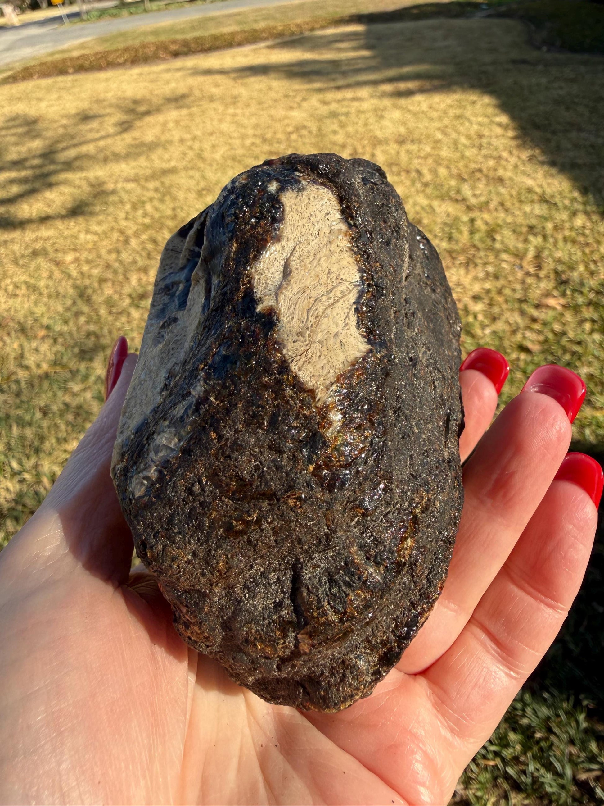 Large raw amber, Glorious Beautiful Amazing Color, altar, gift, new, 5.5”, healing crystals