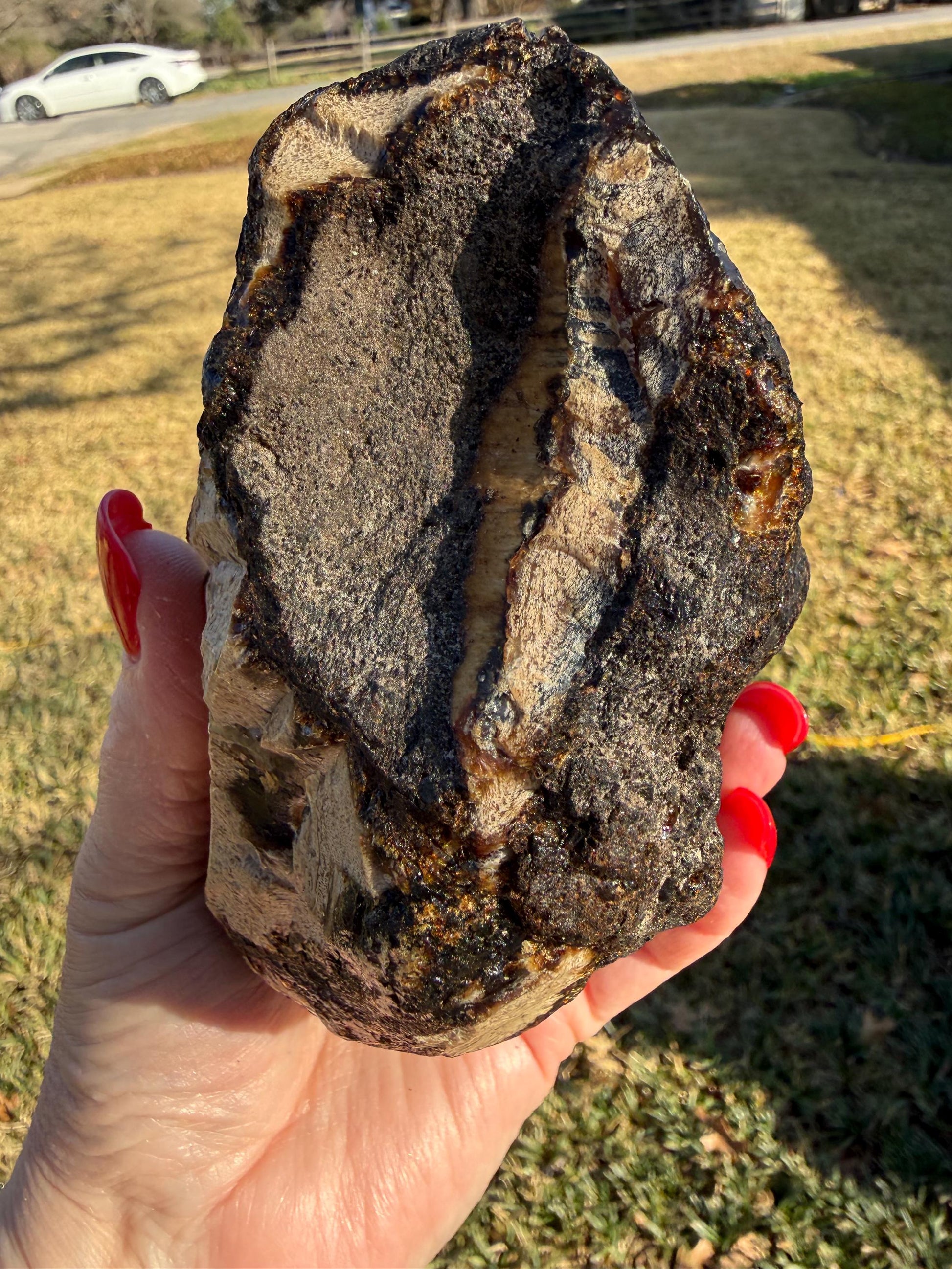 Large raw amber, Glorious Beautiful Amazing Color, altar, gift, new, 5.5”, healing crystals