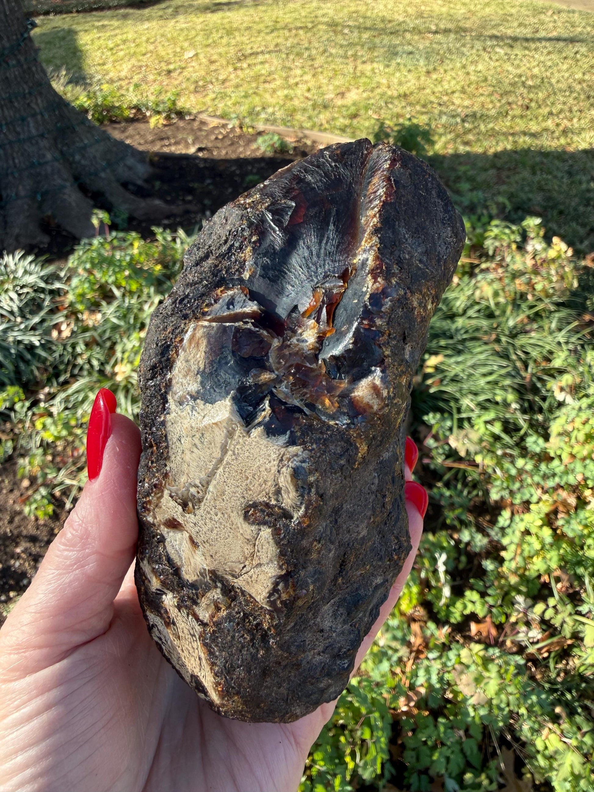 Large raw amber, Glorious Beautiful Amazing Color, altar, gift, new, 5.5”, healing crystals