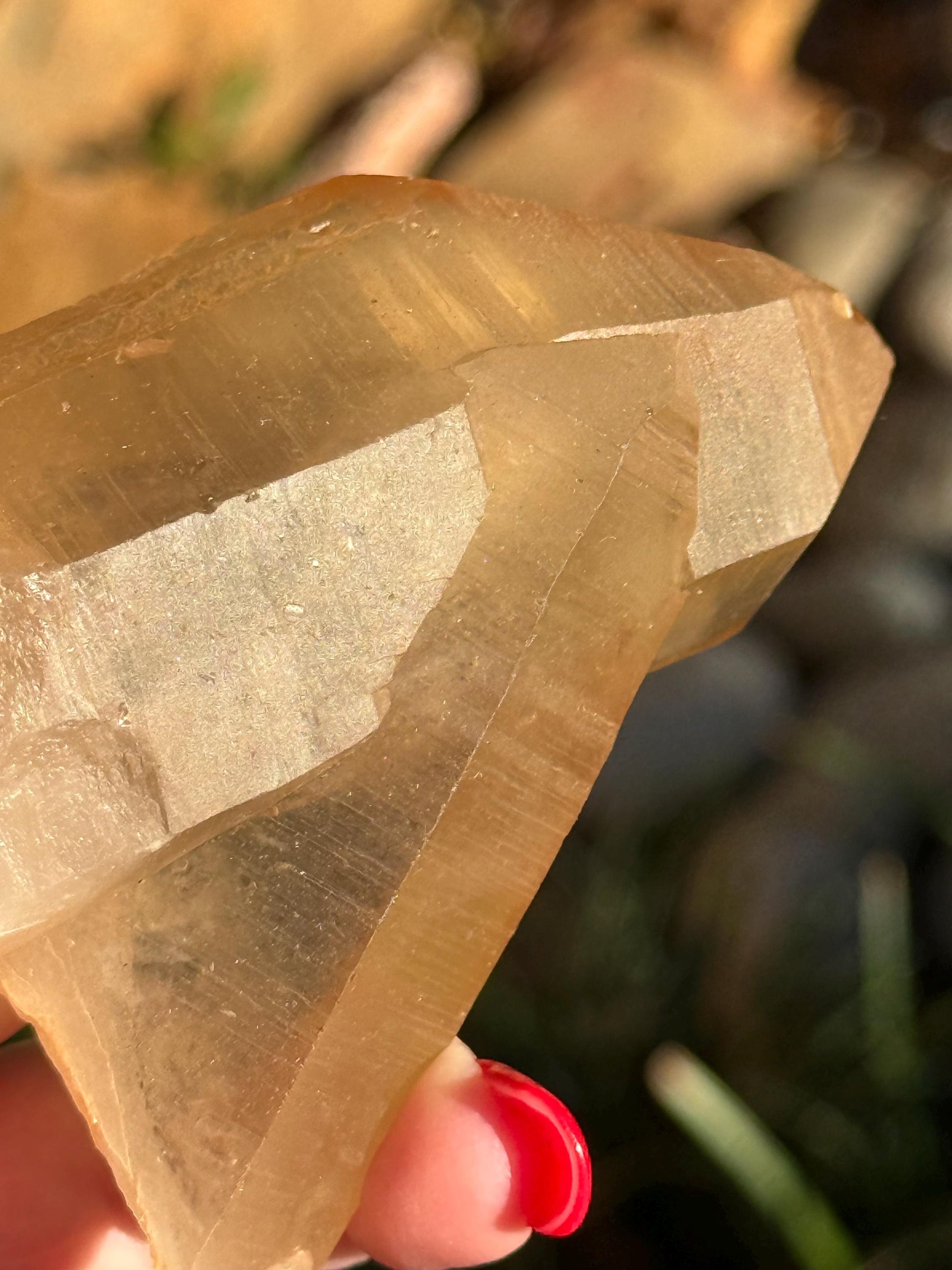 Rare Record Keeper Gold Twin Crossed Penetrator Lemurian, new, high quality, 3”, crystal healing, gift