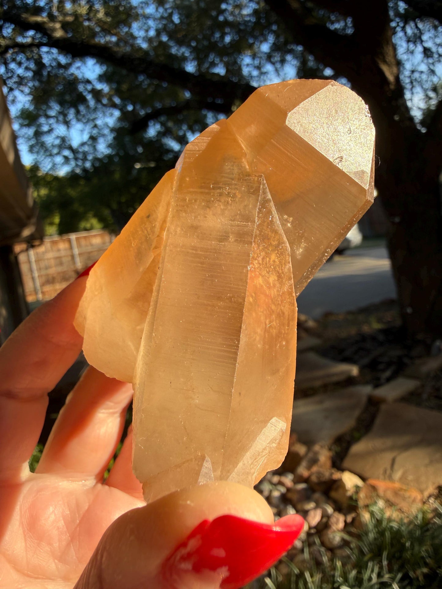 Rare Record Keeper Gold Twin Crossed Penetrator Lemurian, new, high quality, 3”, crystal healing, gift