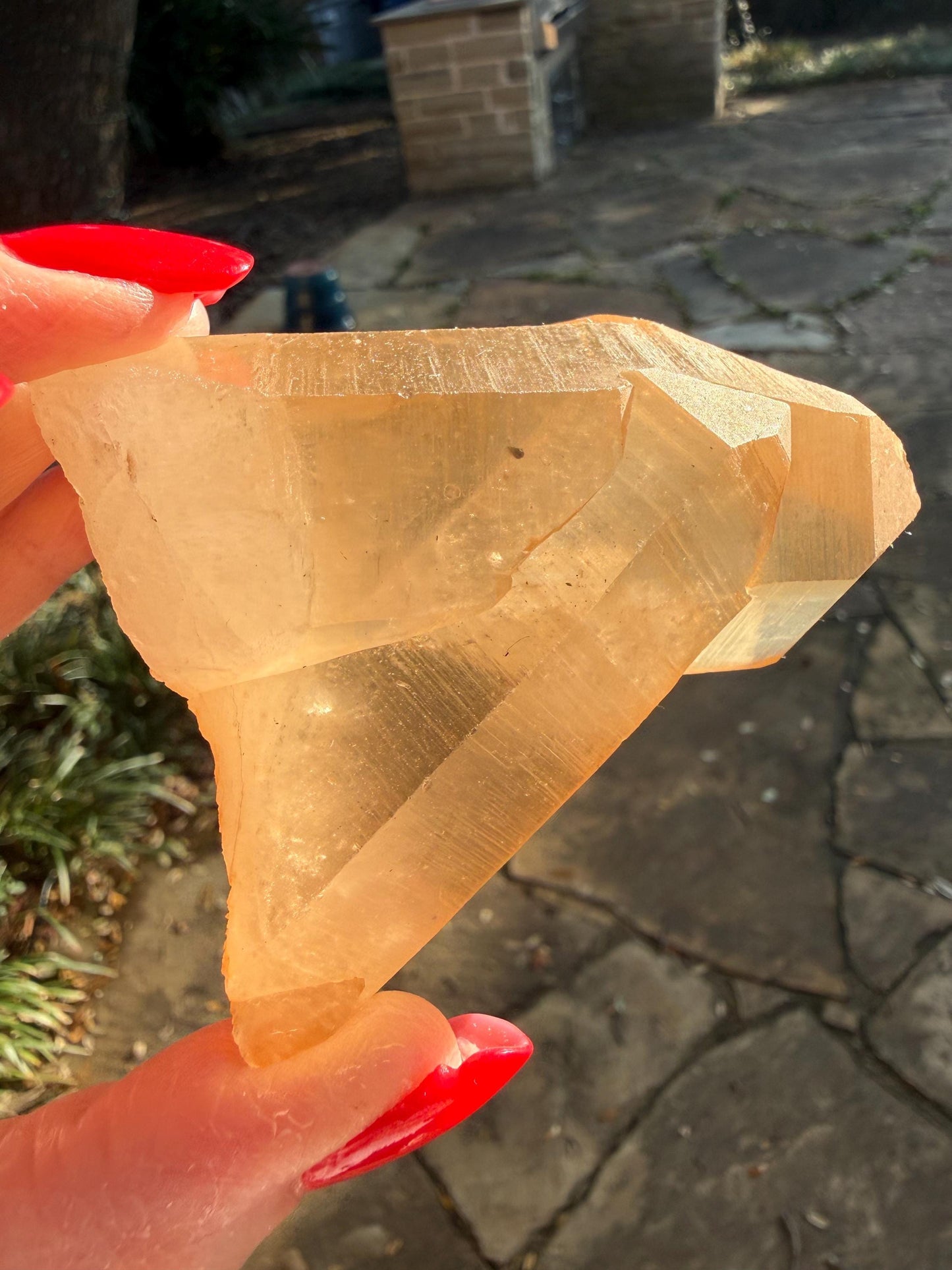 Rare Record Keeper Gold Twin Crossed Penetrator Lemurian, new, high quality, 3”, crystal healing, gift