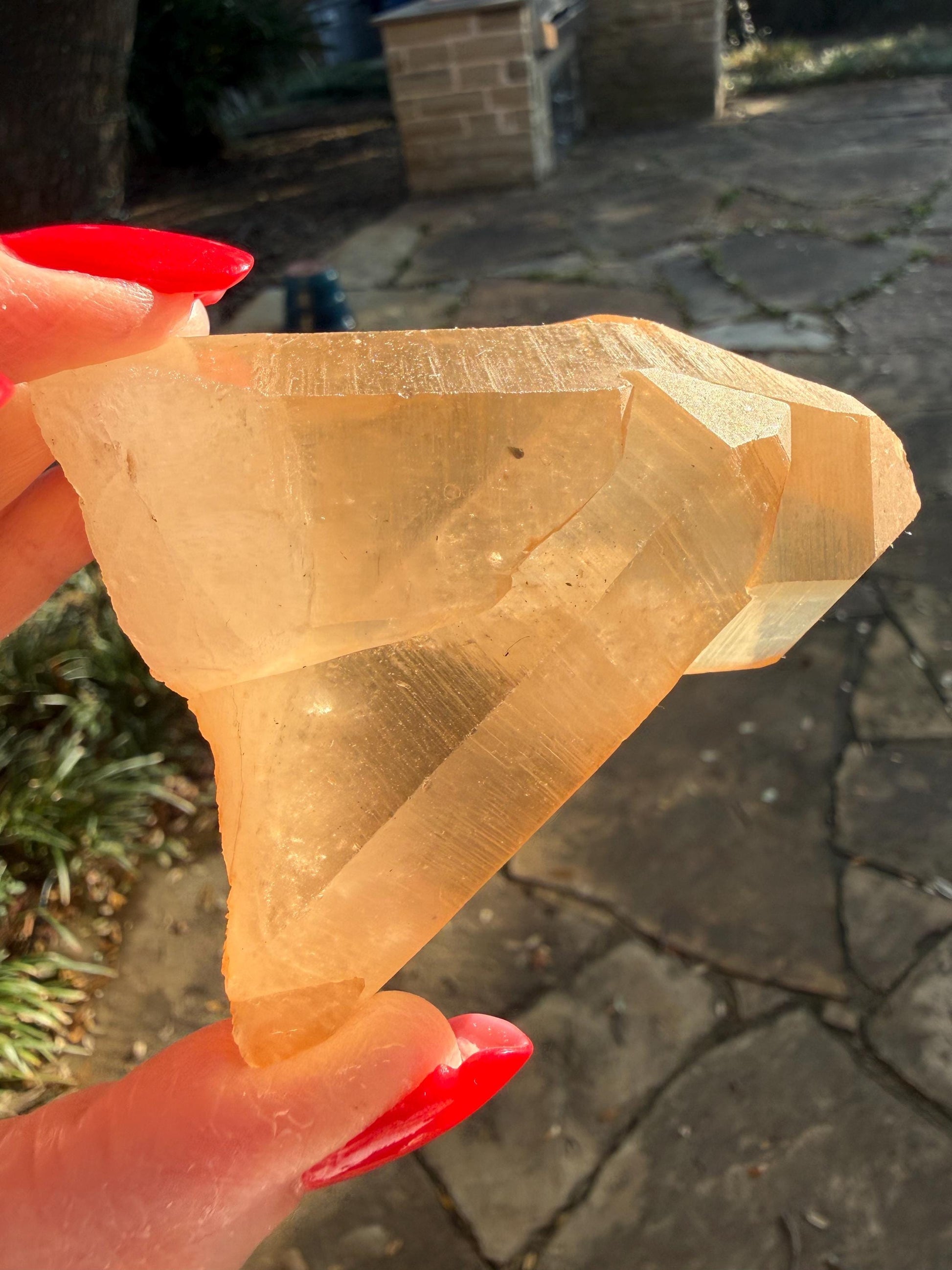 Rare Record Keeper Gold Twin Crossed Penetrator Lemurian, new, high quality, 3”, crystal healing, gift
