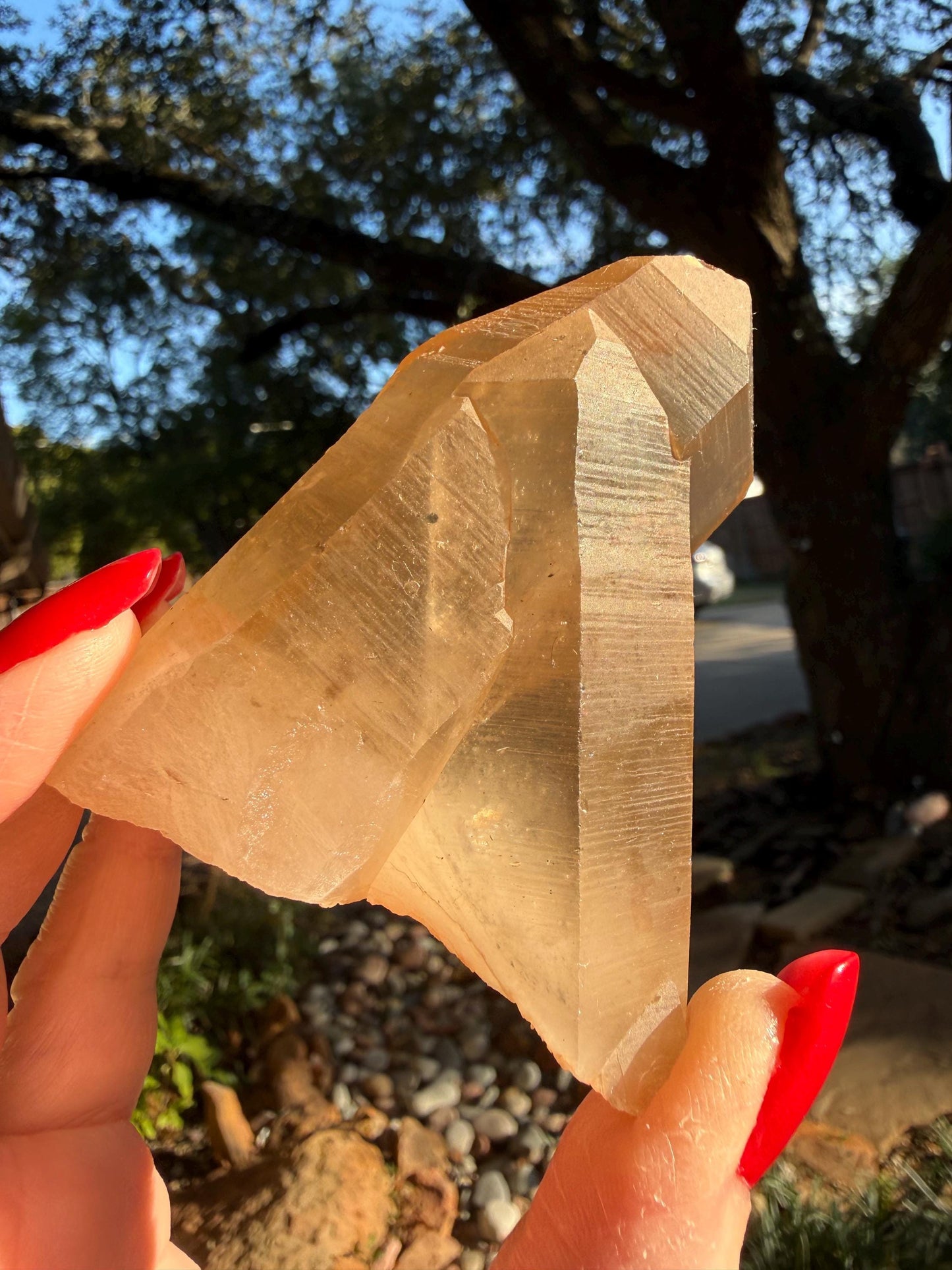 Rare Record Keeper Gold Twin Crossed Penetrator Lemurian, new, high quality, 3”, crystal healing, gift