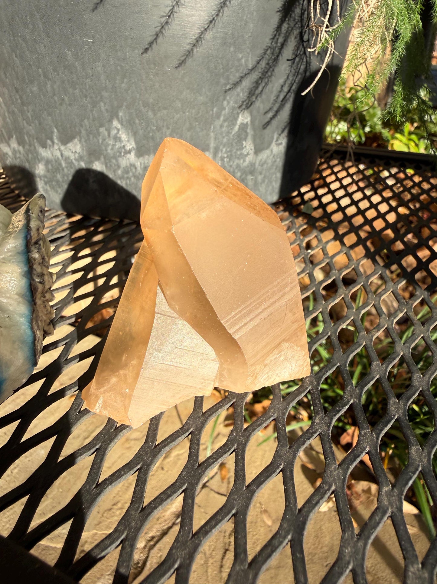 Rare Record Keeper Gold Twin Crossed Penetrator Lemurian, new, high quality, 3”, crystal healing, gift