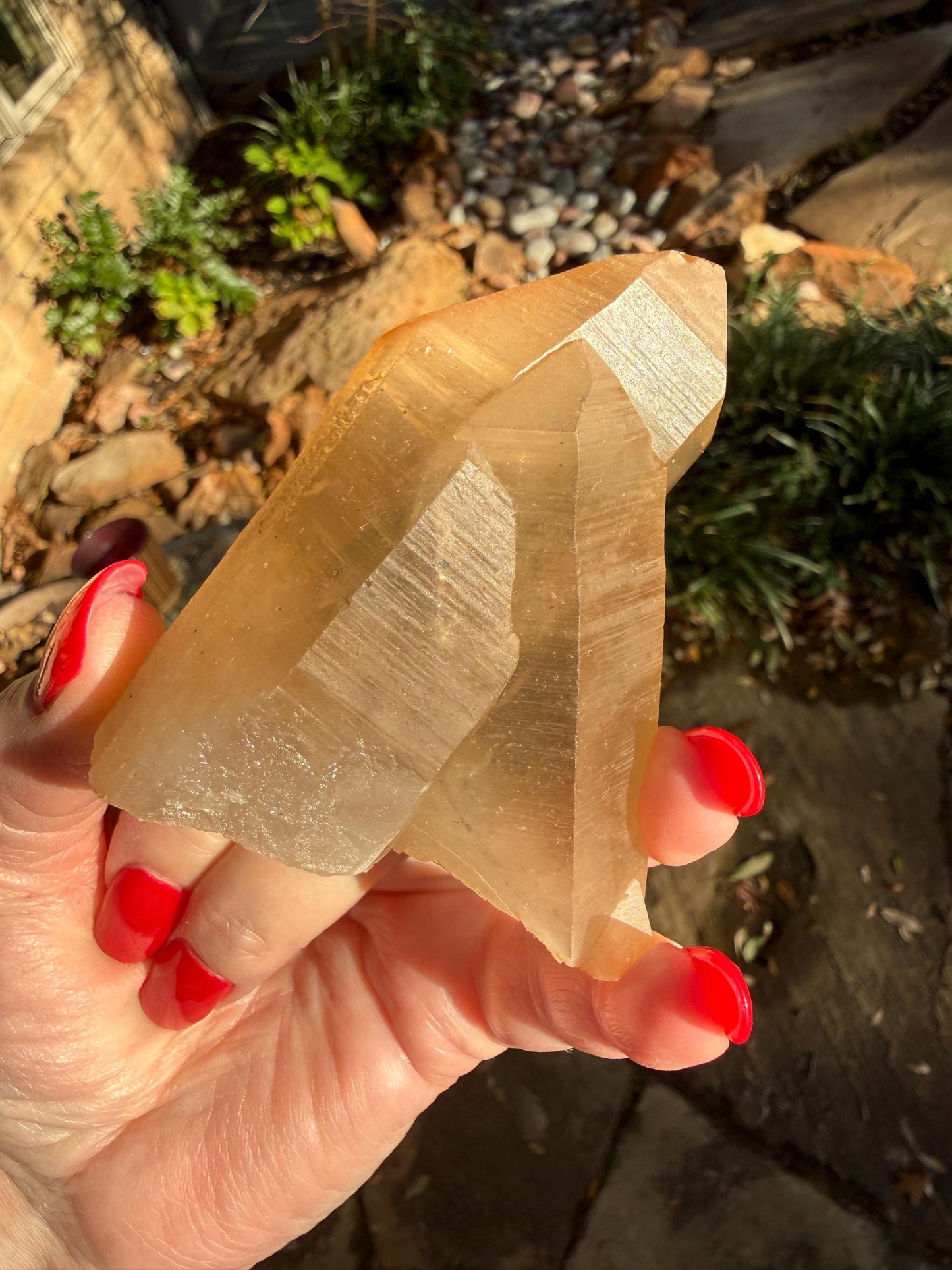 Rare Record Keeper Gold Twin Crossed Penetrator Lemurian, new, high quality, 3”, crystal healing, gift