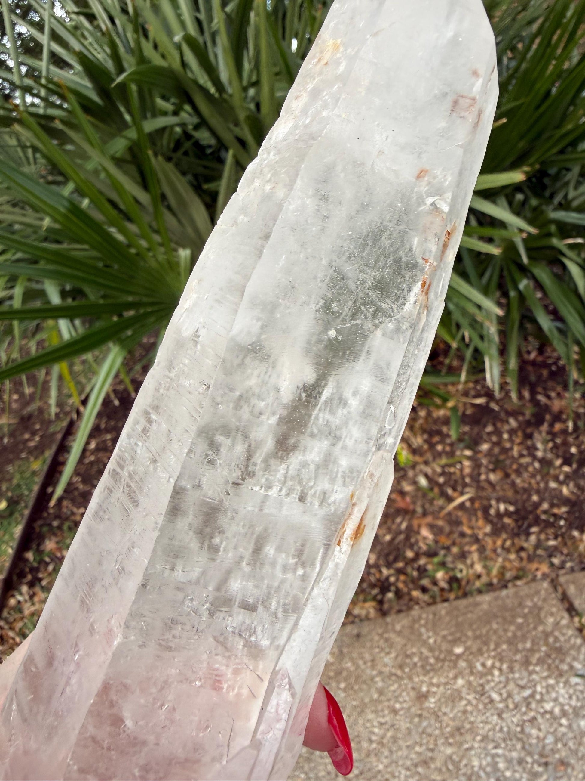 Mystical Sugared Singing Laser Lemurian Shaman’s Wand Staff, Rare, New, gift, 1.15.8 lbs , 9” statement piece, high vibration crystals