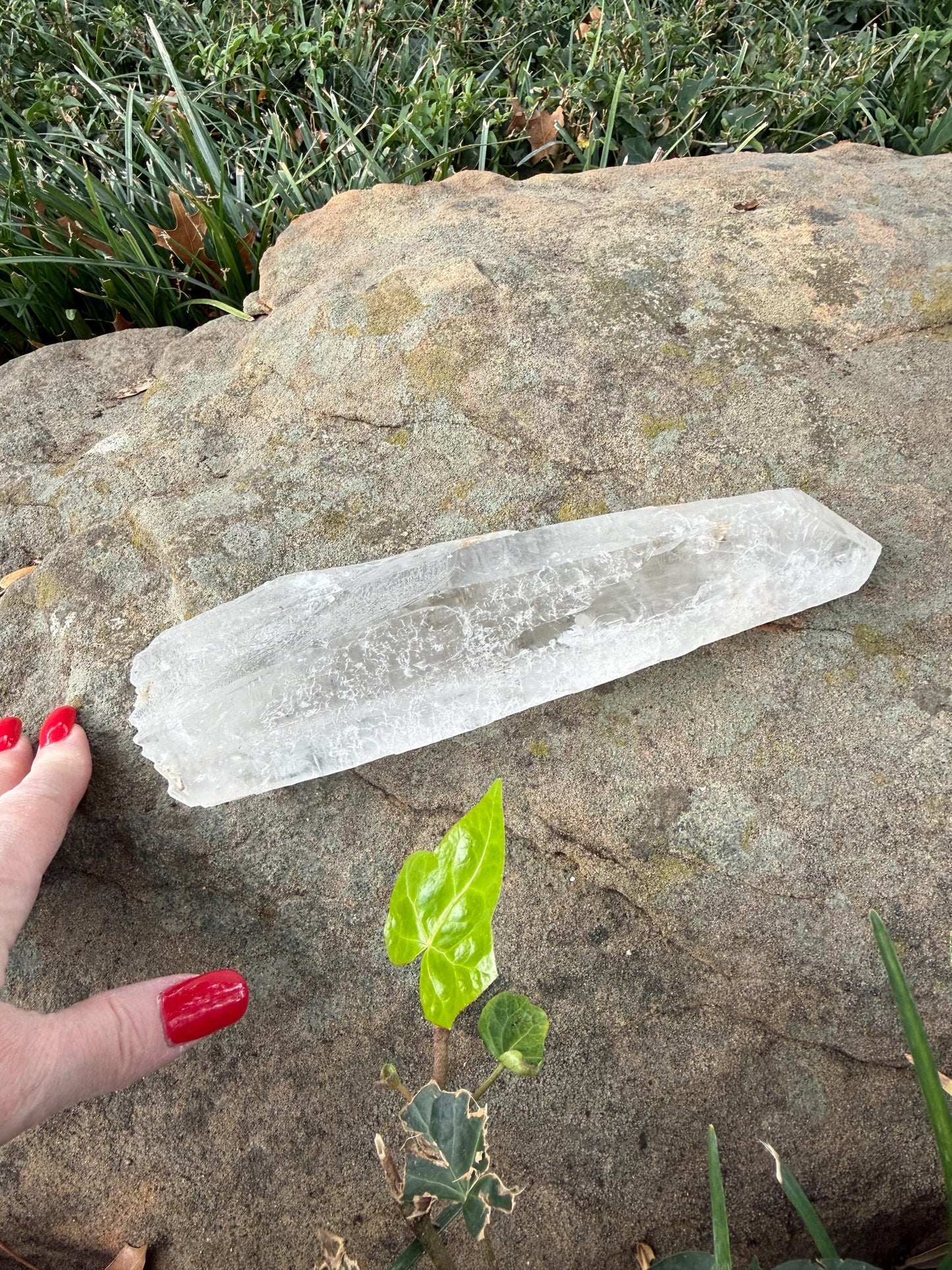 Mystical Sugared Singing Laser Lemurian Shaman’s Wand Staff, Rare, New, gift, 1.15.8 lbs , 9” statement piece, high vibration crystals