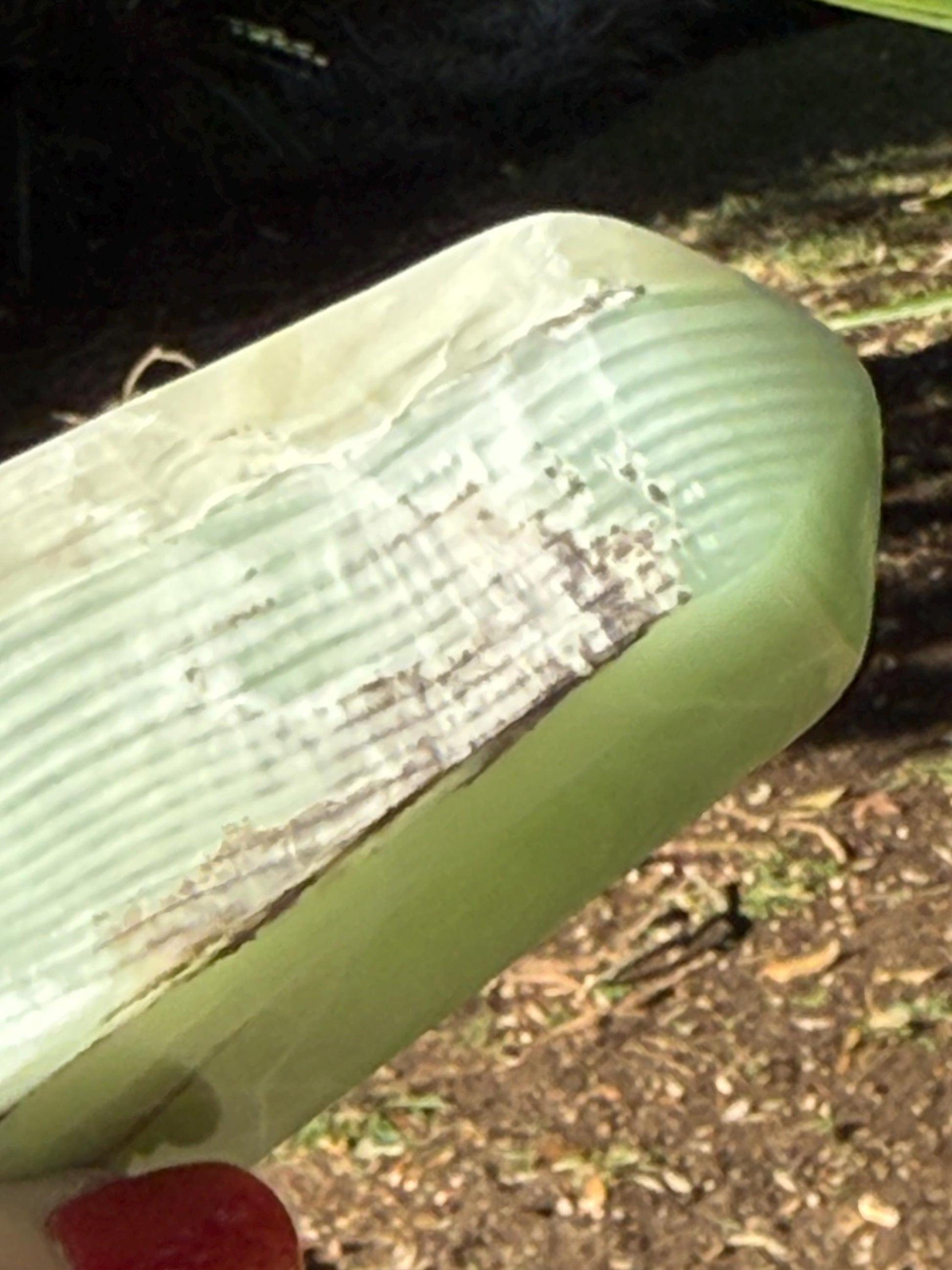 Fingerprint Calcite Tower, 3.5”, altar, crystals healing, high vibration crystals