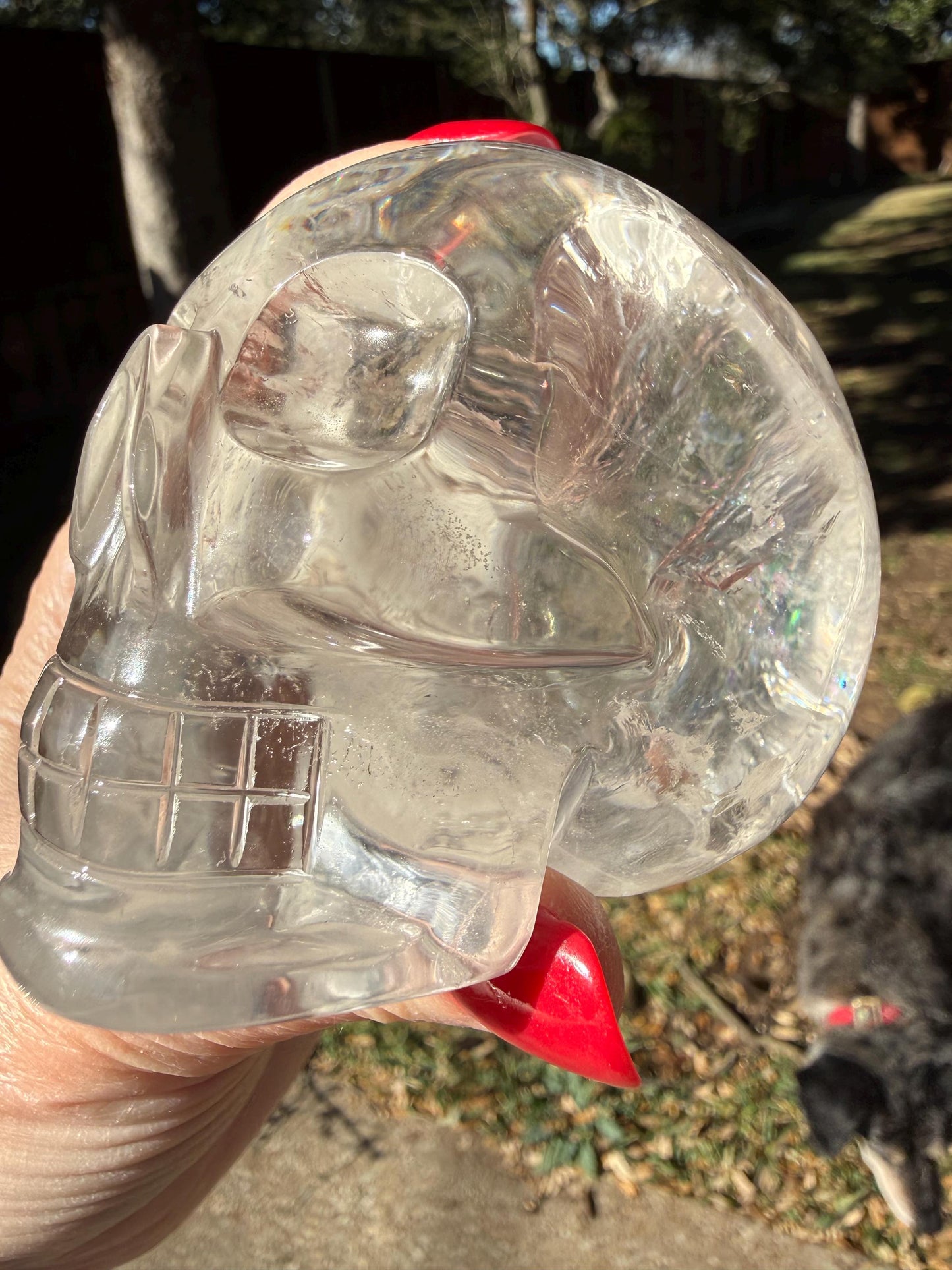 Lemurian Quartz stunning skull carving, high vibration crystals, altar, 3.1”, St. Michael