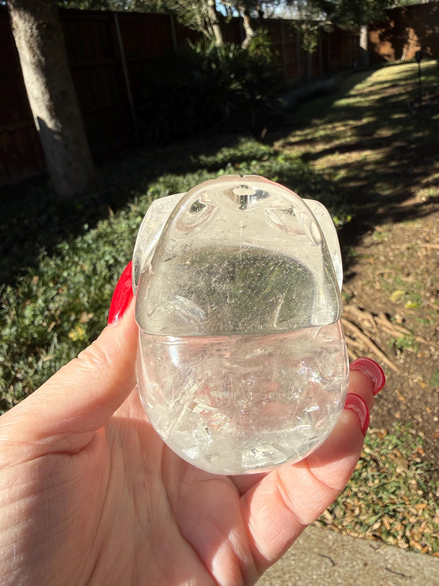 Lemurian Quartz stunning skull carving, high vibration crystals, altar, 3.1”, St. Michael