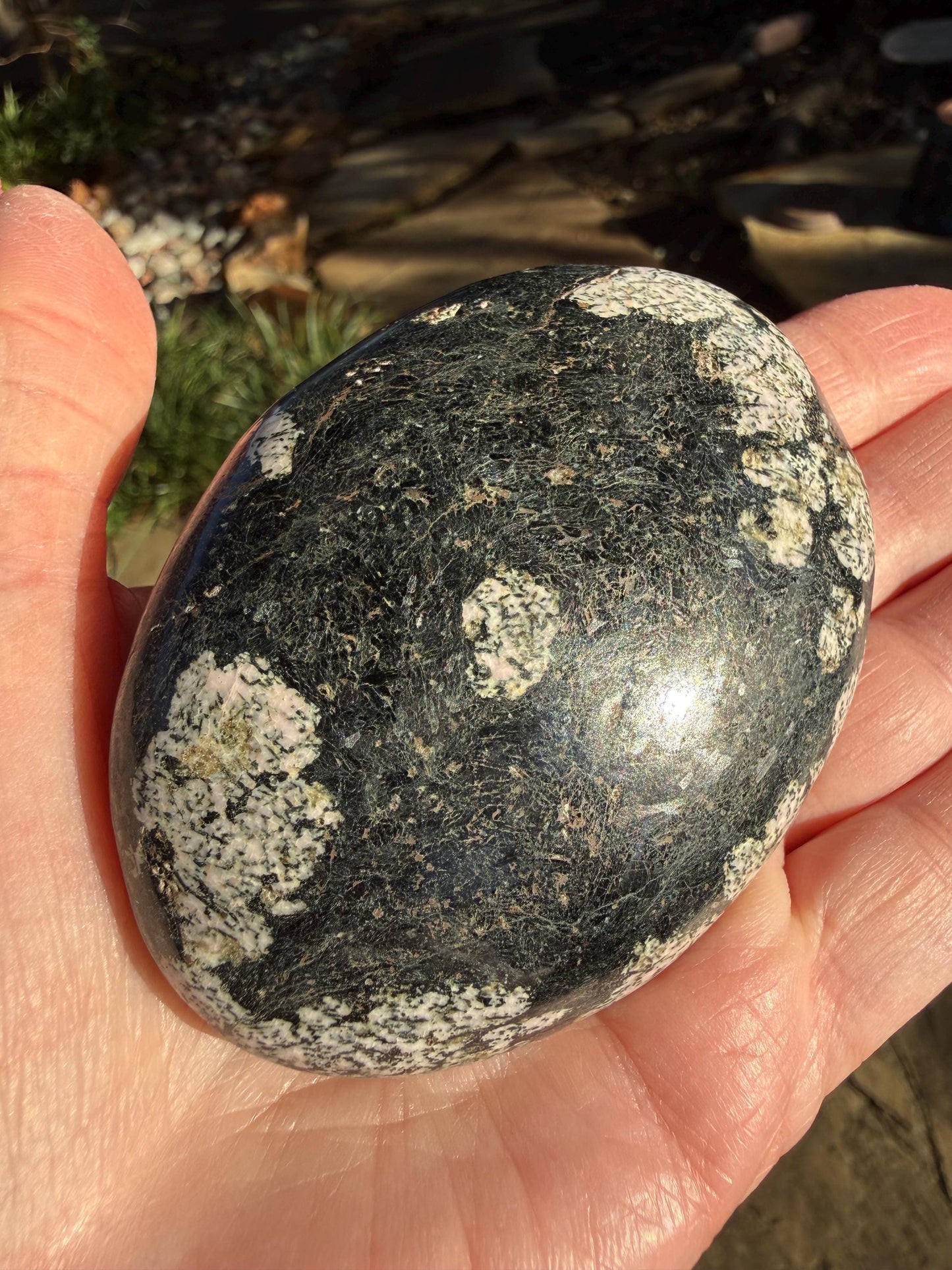Extra-Large Snowflake Obsidian Palm Stone, 3.1”, gift, altar, high frequency crystals