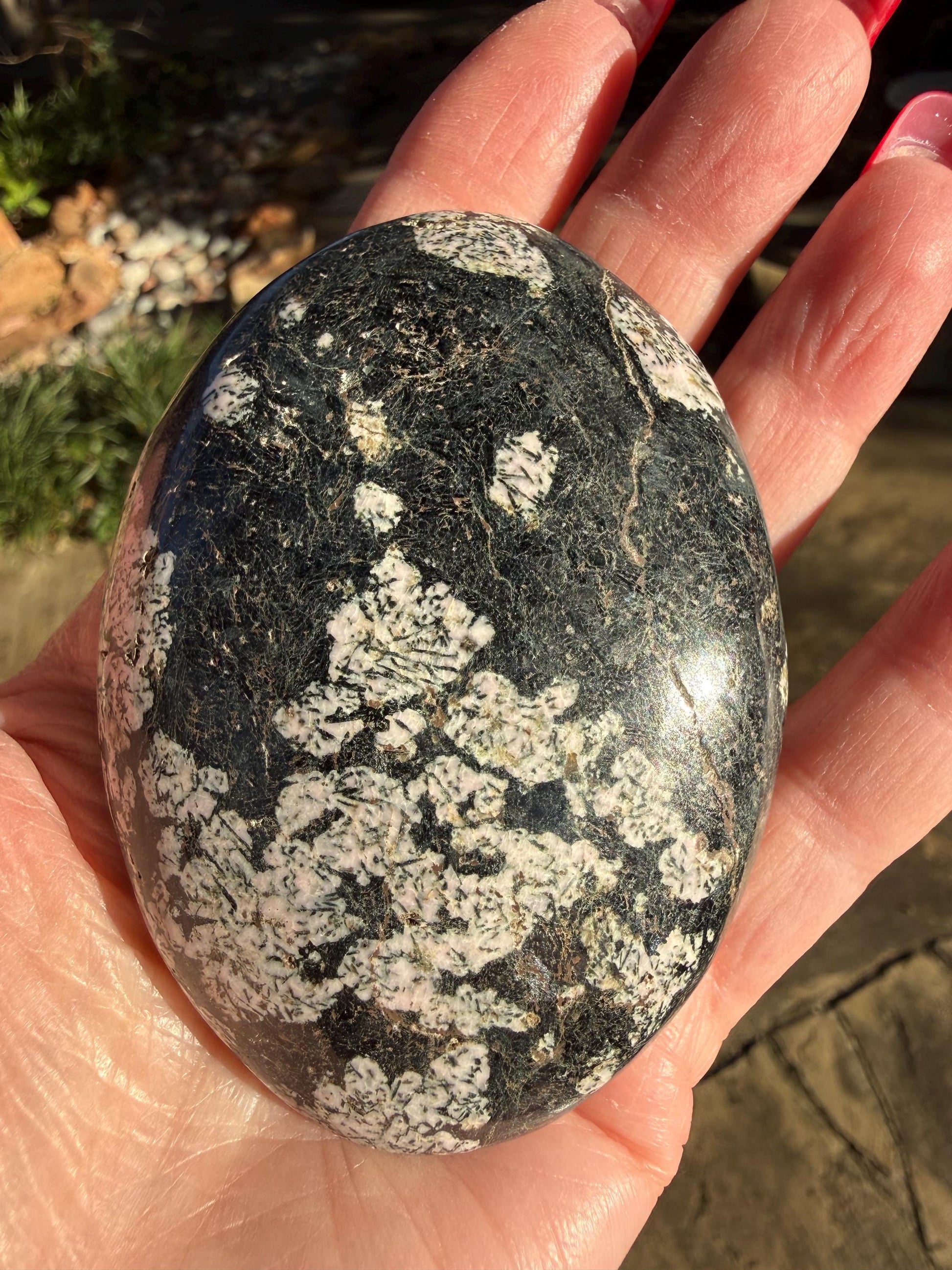Extra-Large Snowflake Obsidian Palm Stone, 3.1”, gift, altar, high frequency crystals