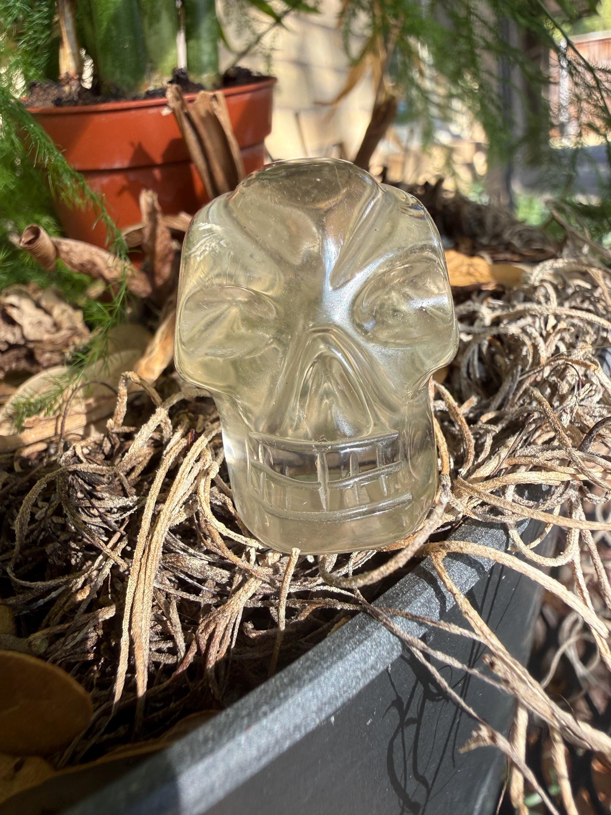 Citrine Travelers Skull, 2.3”, gifts, high vibration crystals, crystal healing, abundance skulls