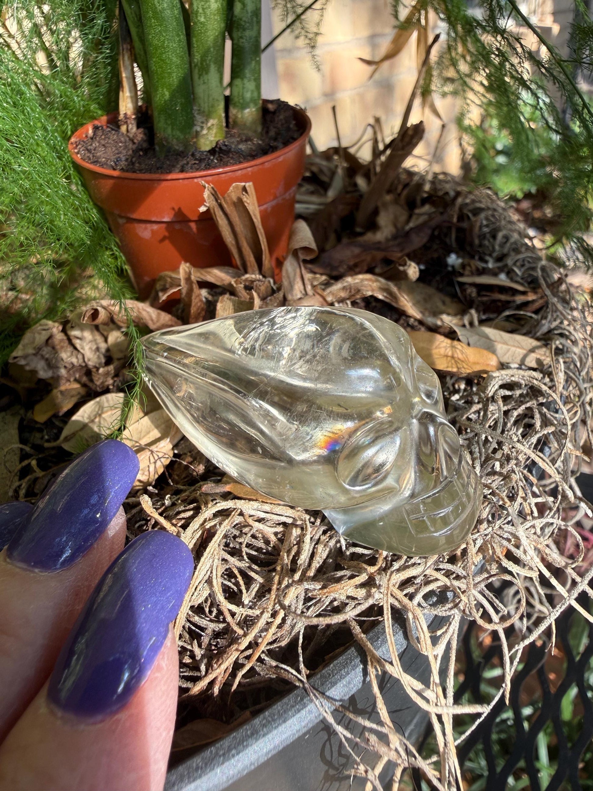 Citrine Travelers Skull, 2.3”, gifts, high vibration crystals, crystal healing, abundance skulls