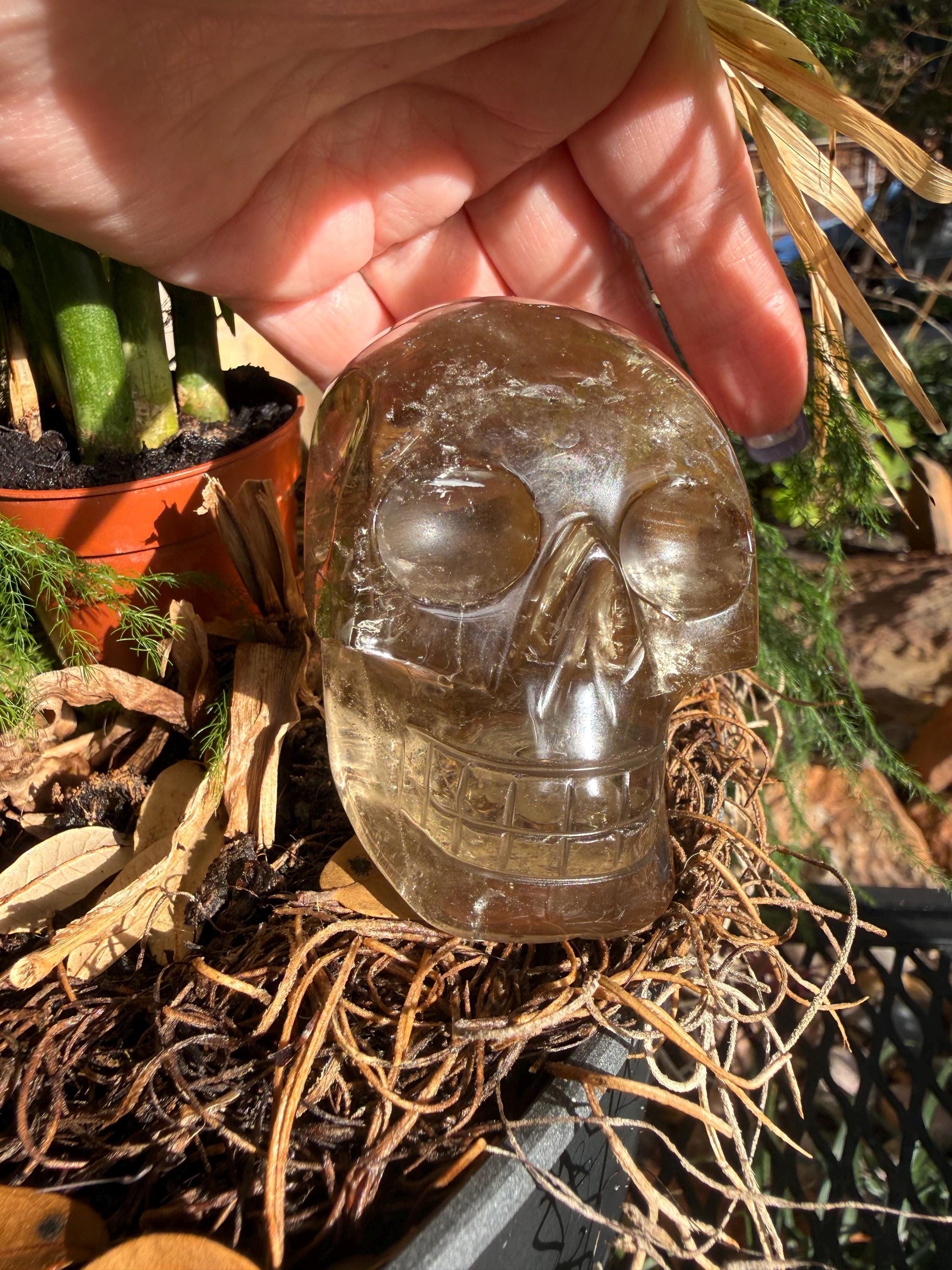 Citrine Skull, 3”, gift, high vibration crystals, crystal healing, abundance skulls