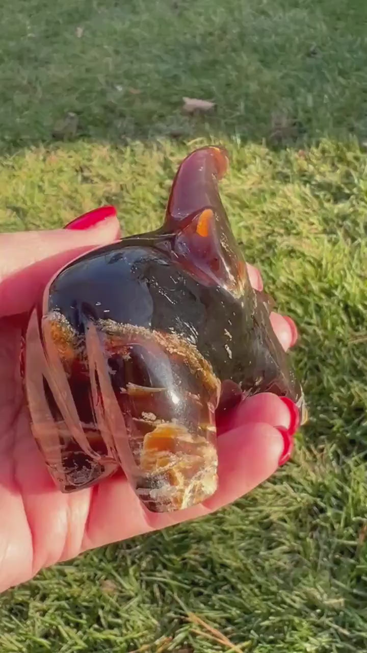 Large beautiful amber elephant carving, new in shop, 3.75”, crystal healing, high vibration healing sessions, gifts