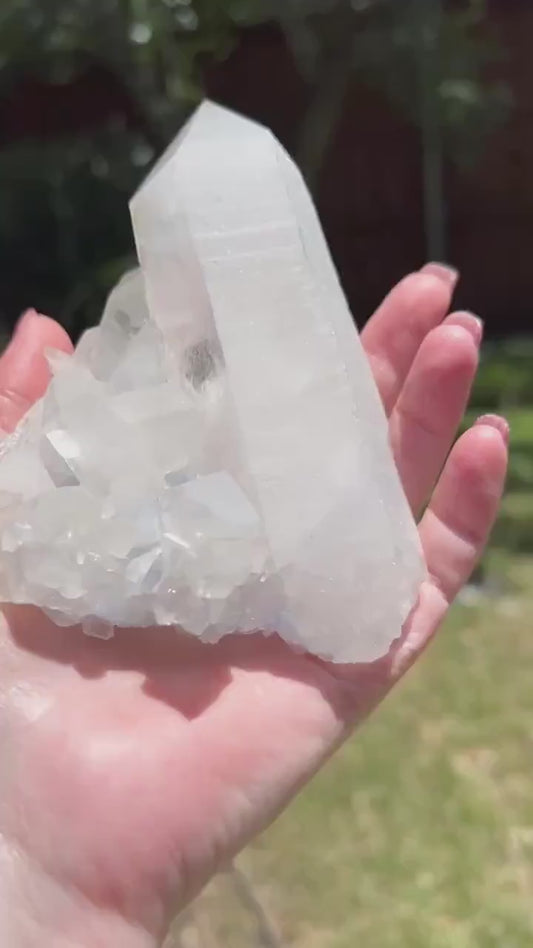 Large Dumortierite in Quartz wand cluster bed, gorgeous and so rare, Brazil, high vibration crystal healing, 5”