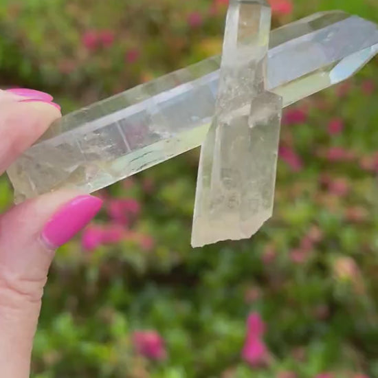 Lemurian Quartz wand family, new, fine, Lemurian healing, magick crystal, point, high vibration healing