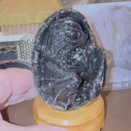Very Rare Agni Manitite Tektite Dragon Egg 3”, beautifully carved, crystal healing, premium crystals